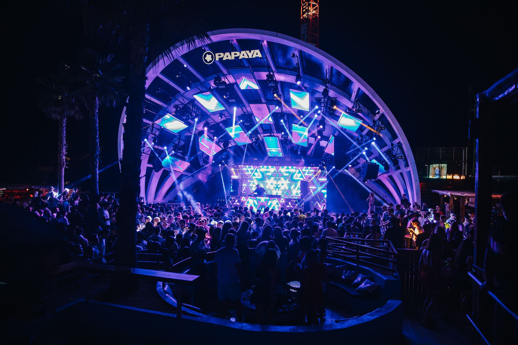 Wild & Free Summer Editon