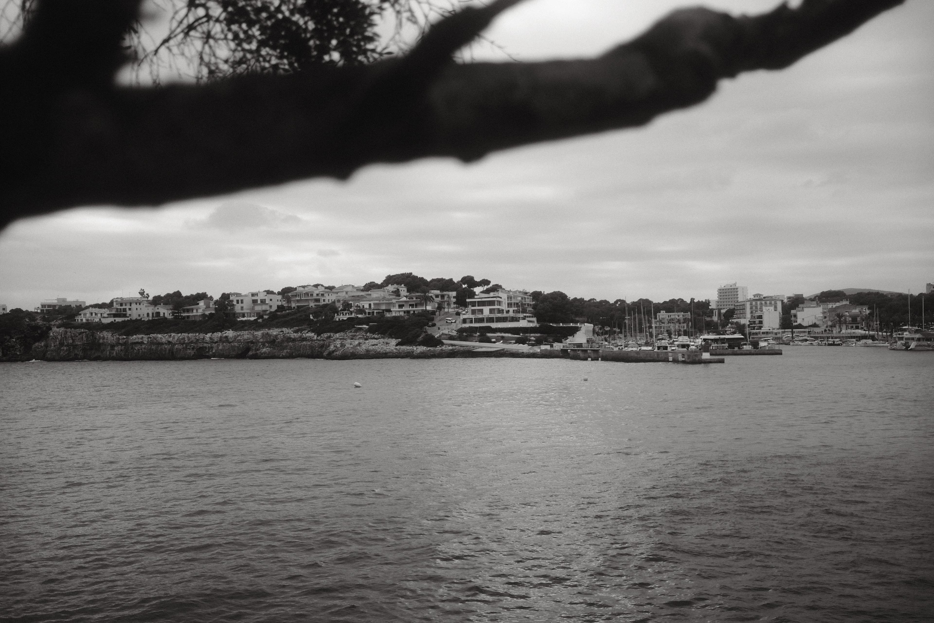 Coastal town with buildings overlooking the water.