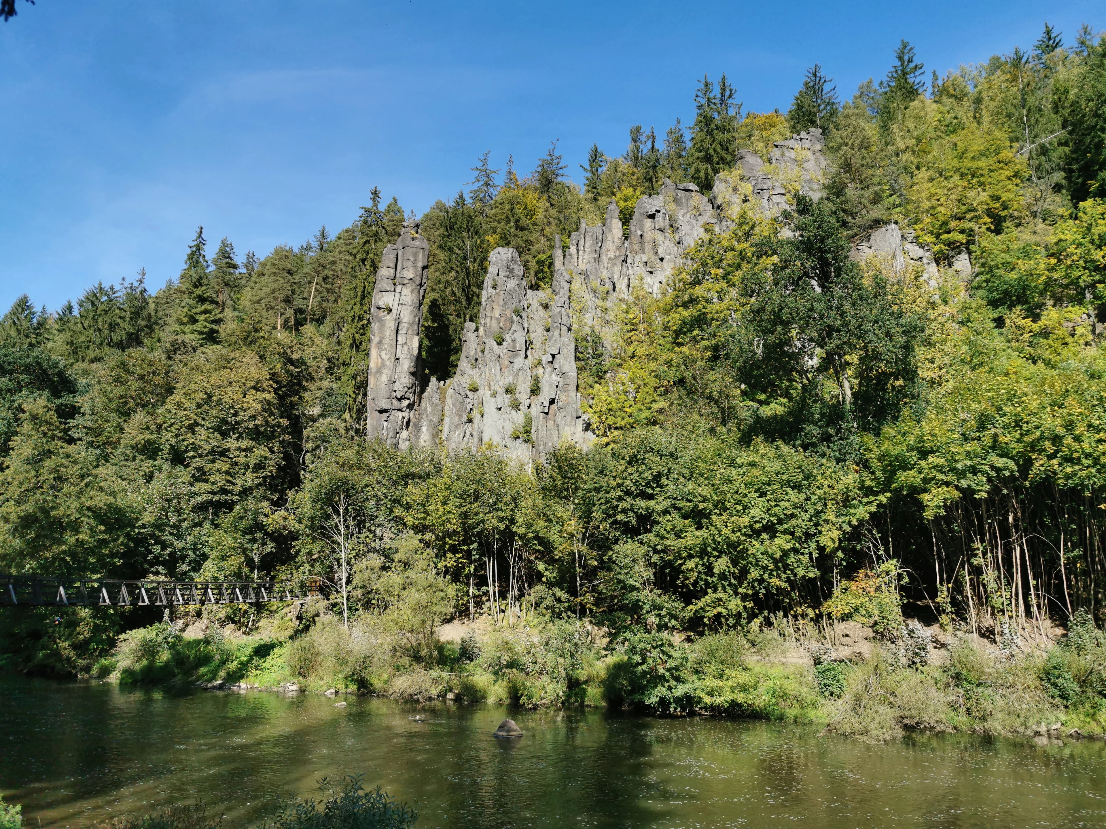 a river running through a lush green forest