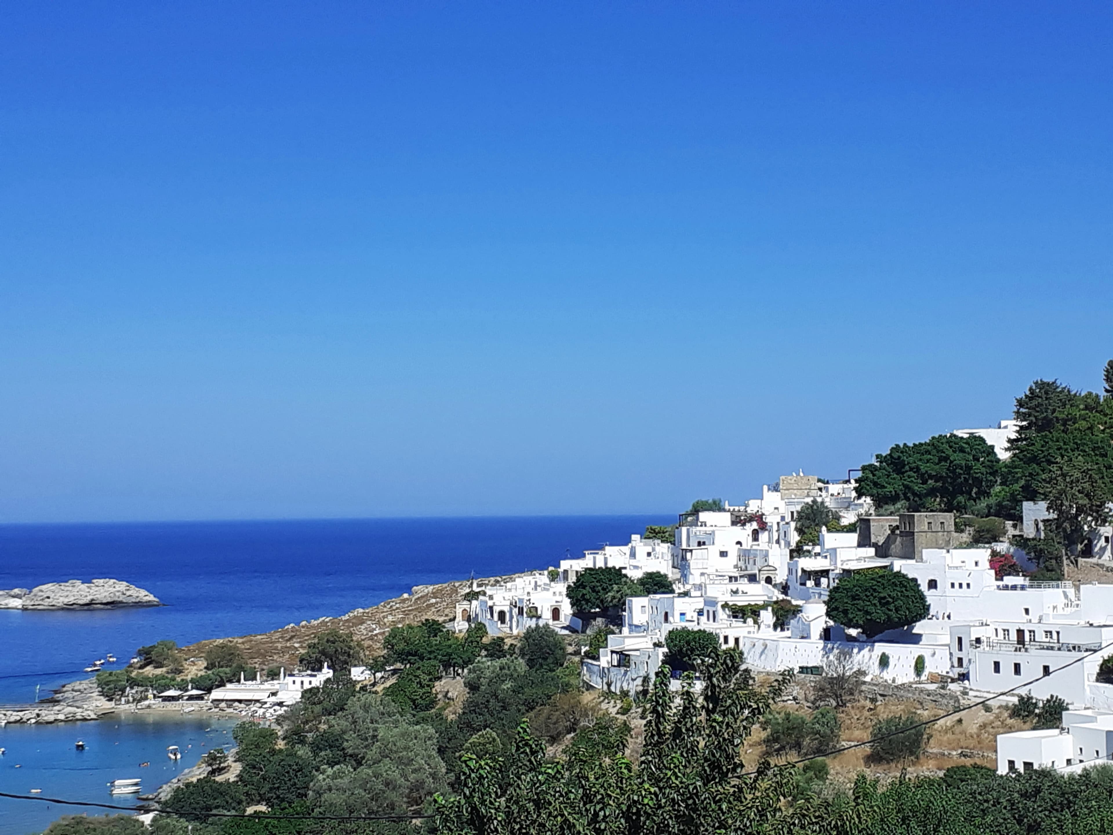 white concrete building near green trees and body of water during daytime