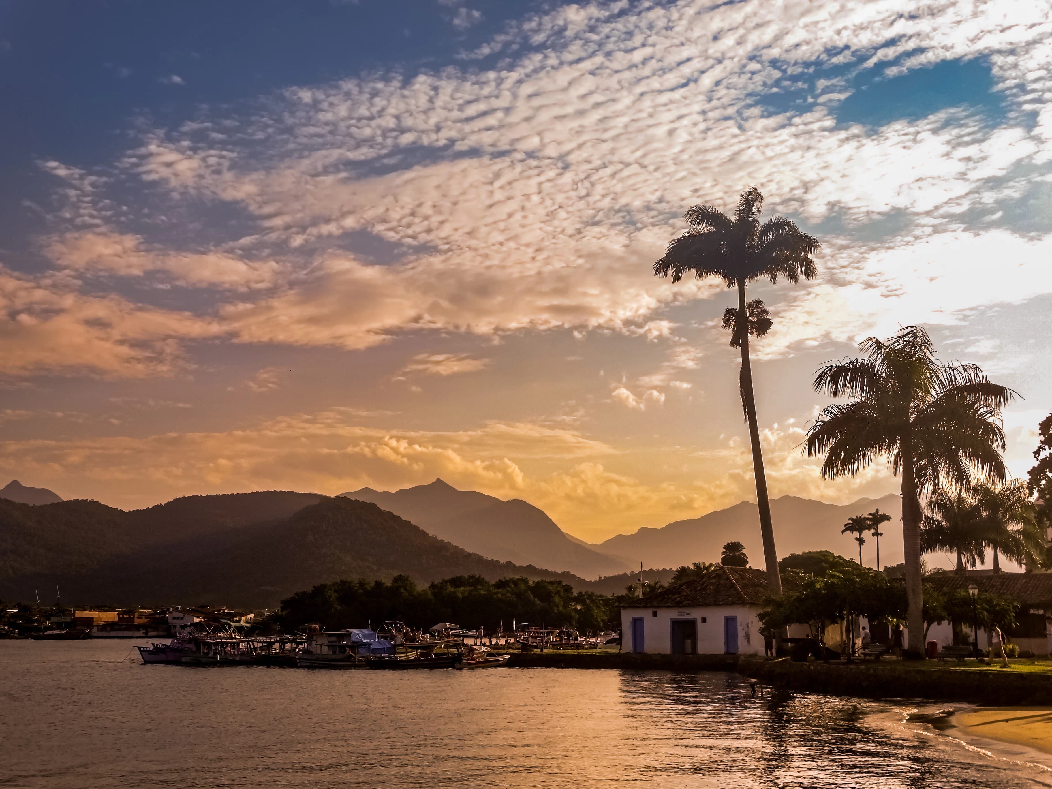 a body of water with palm trees and buildings along it