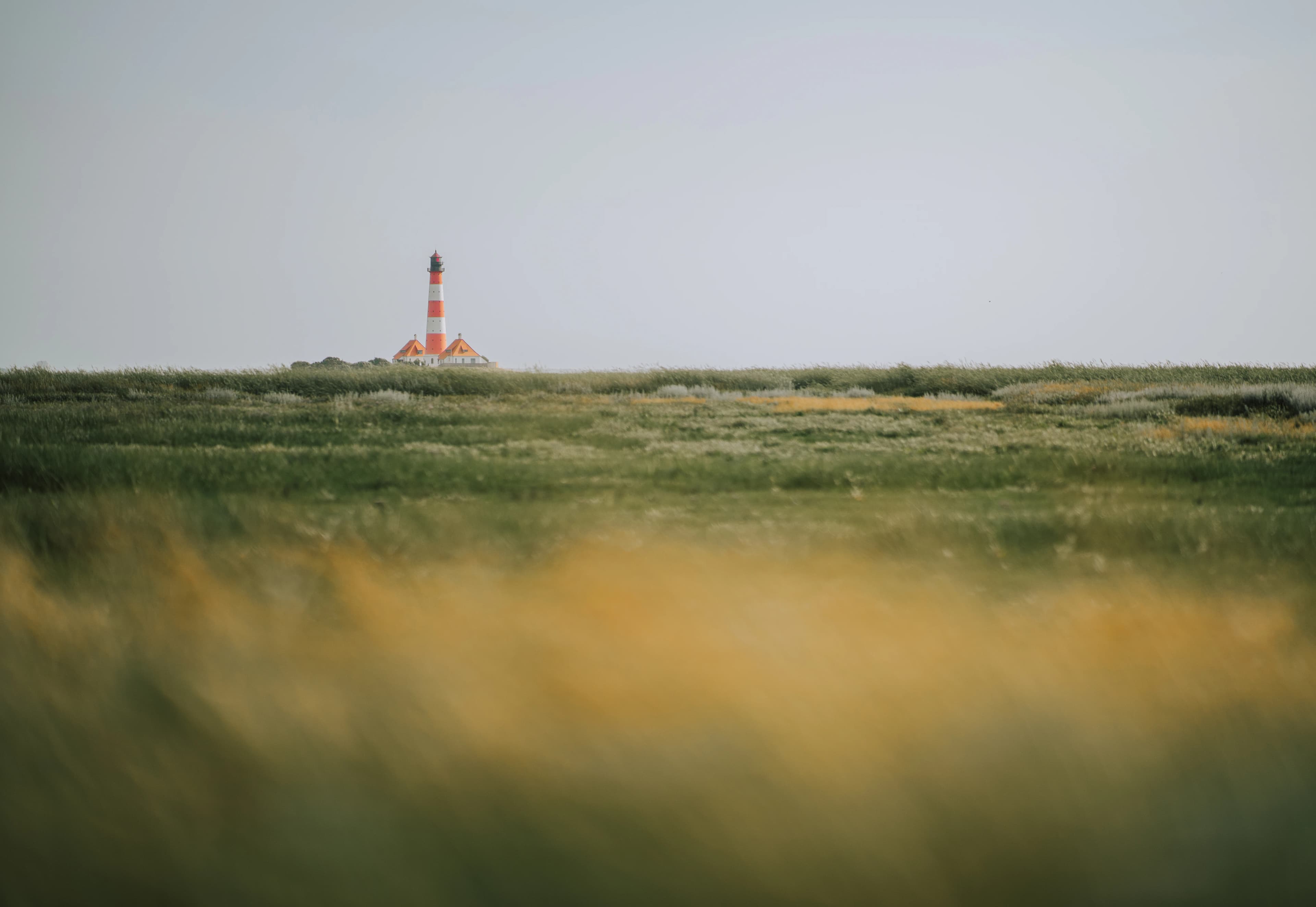 a field with a light house in the distance