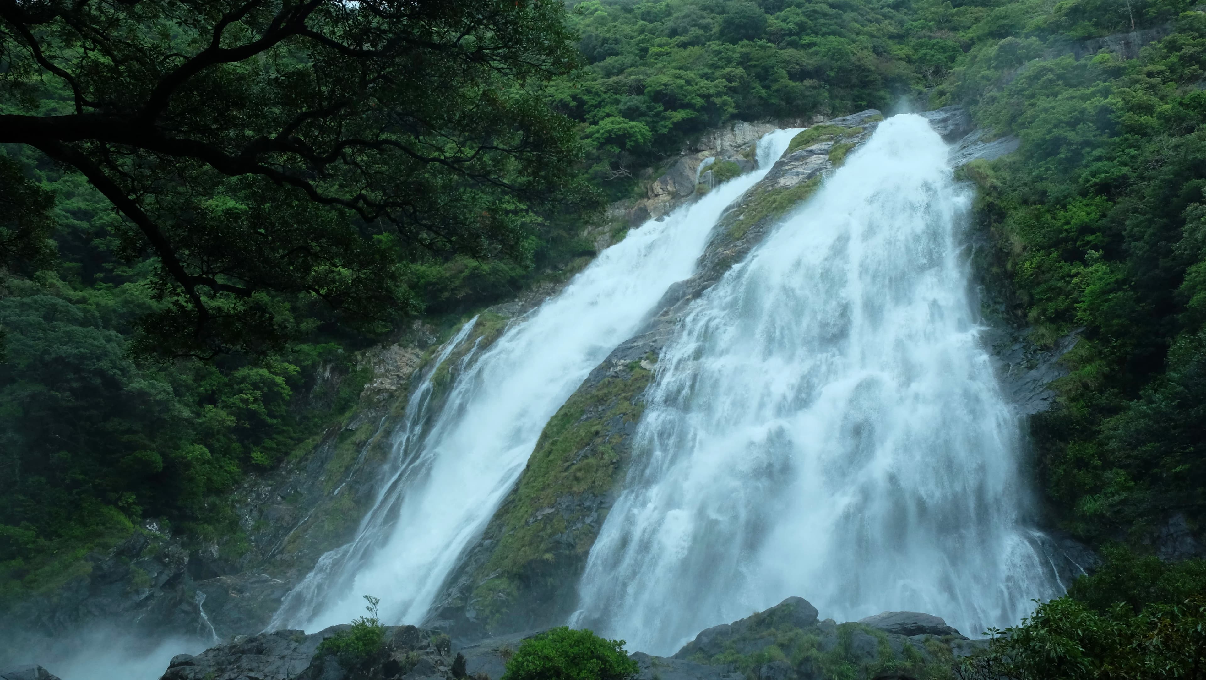 a large waterfall in the middle of a forest