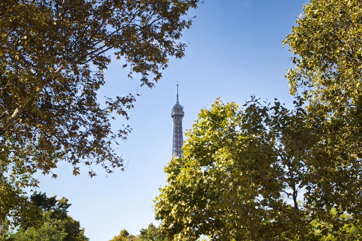 Eiffel tower seen through green trees under blue sky.