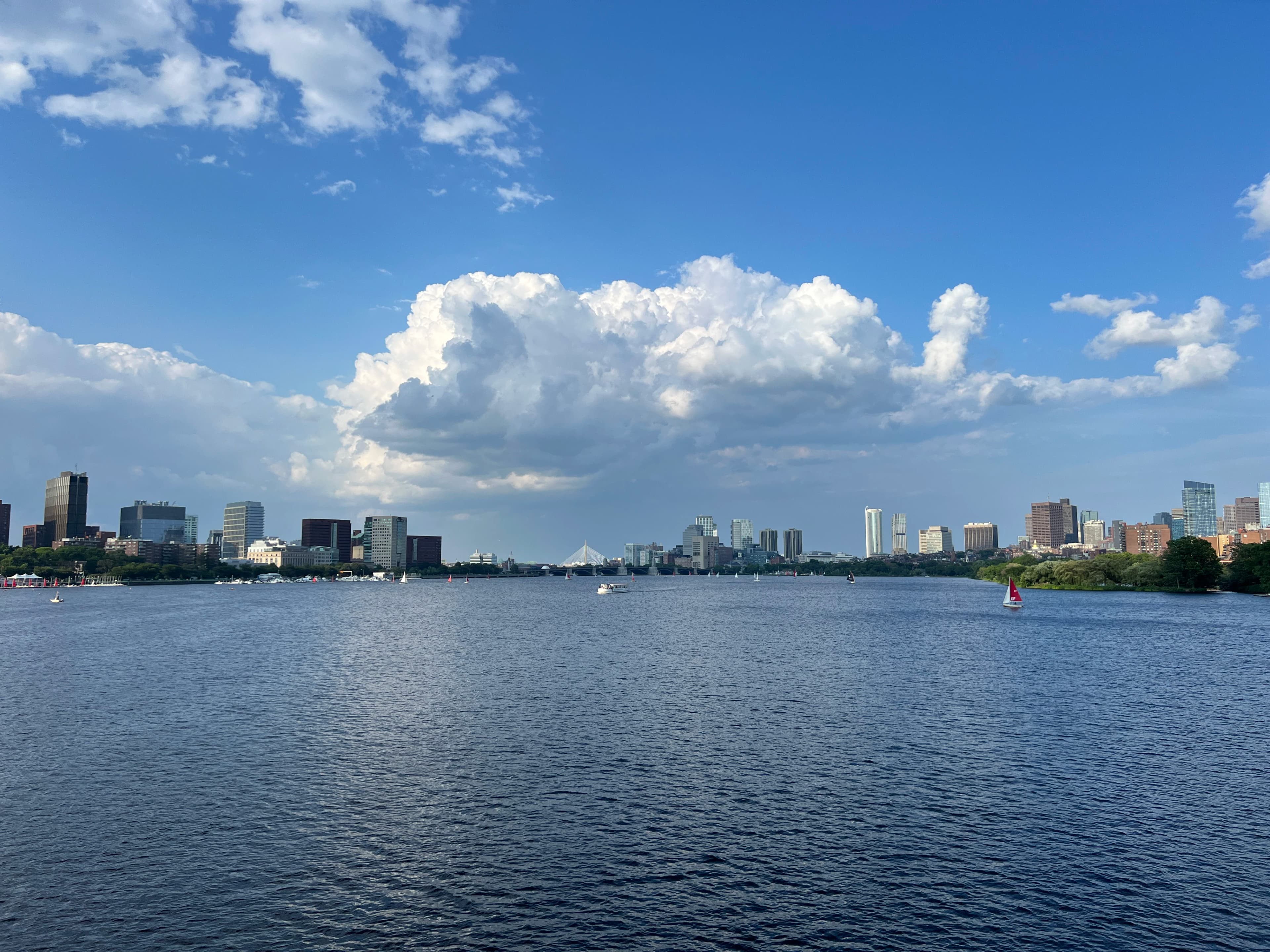 A body of water with a city in the background