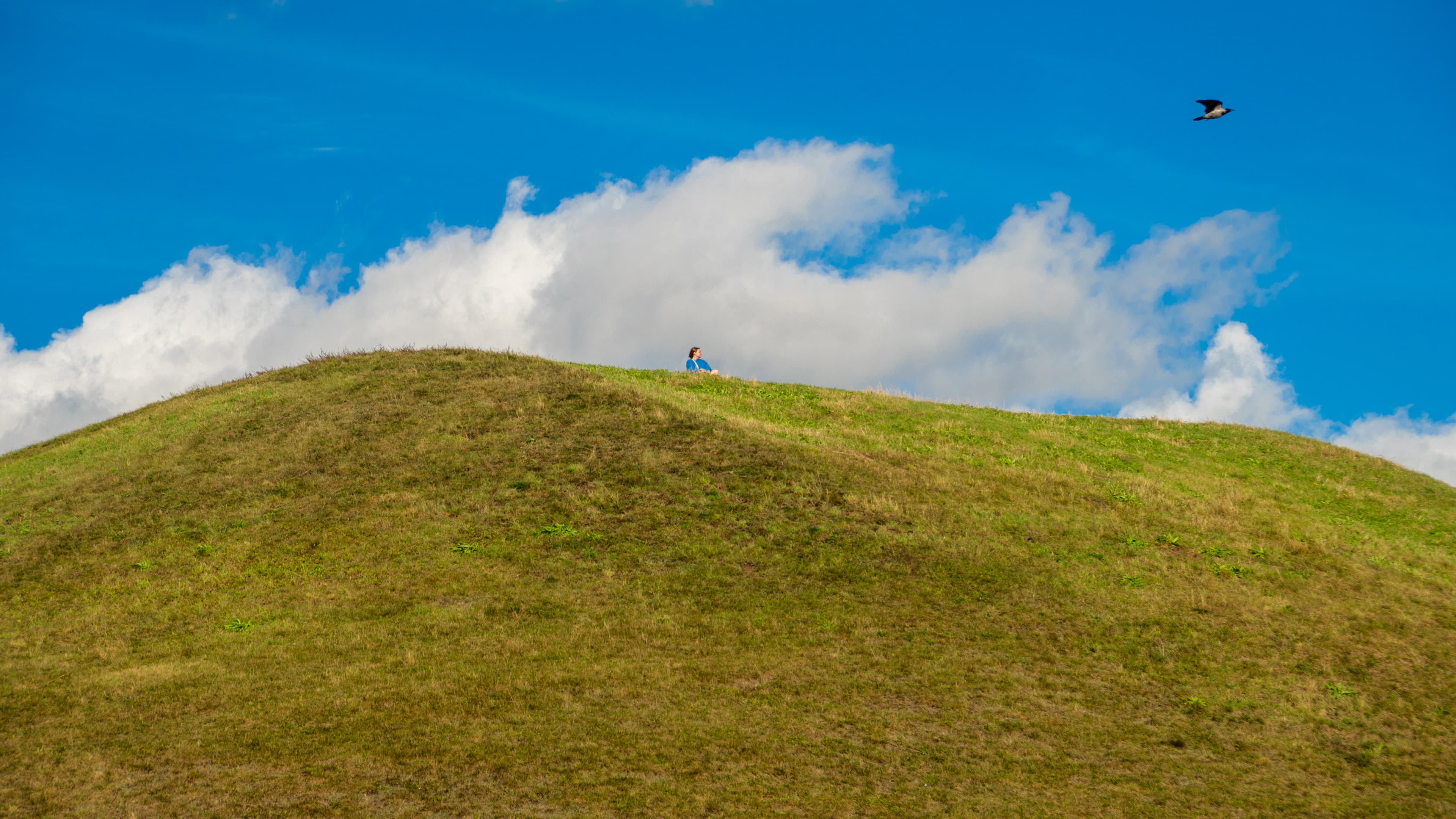 Green grassy hill under a blue sky with clouds