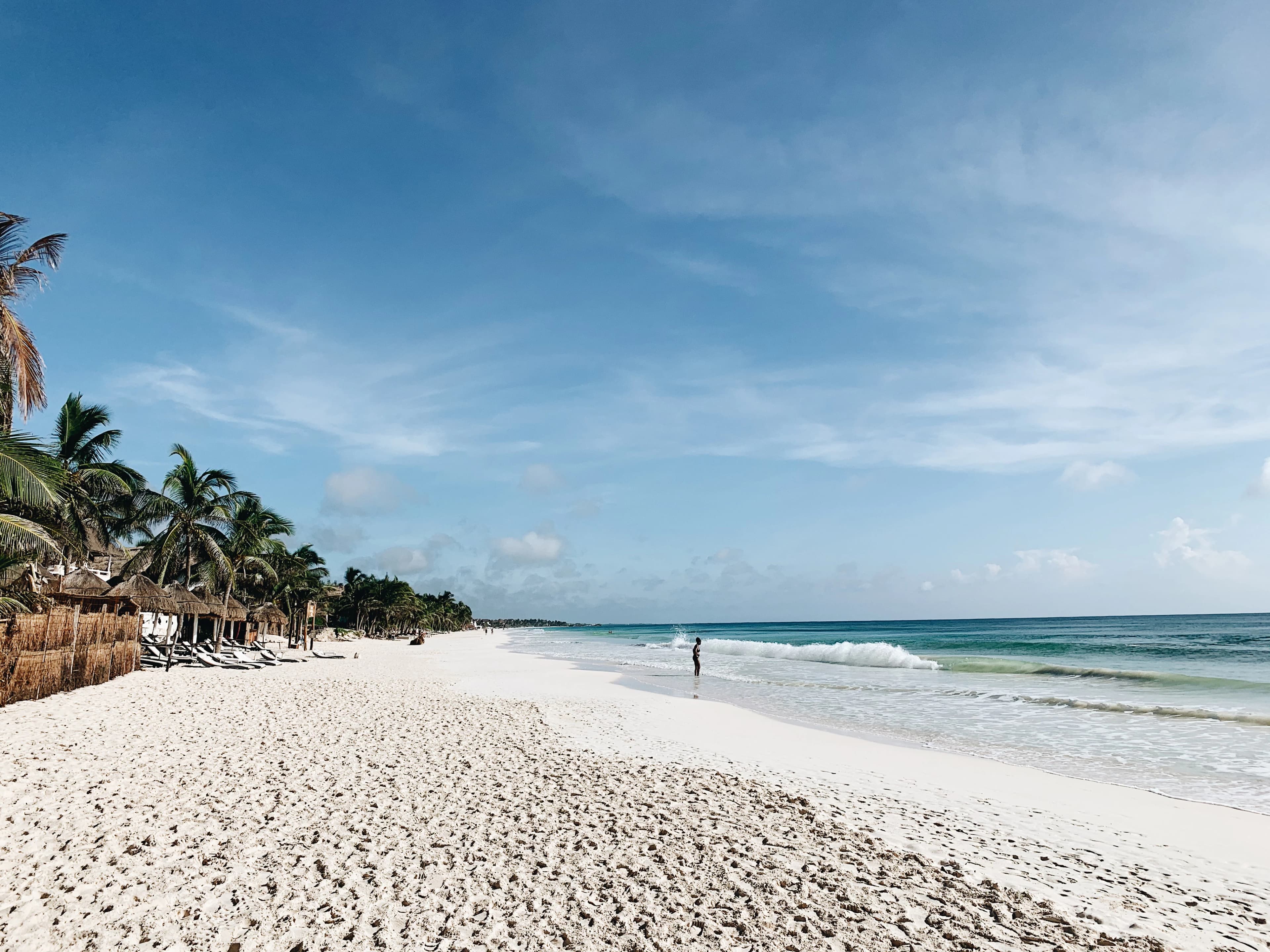 green palm trees on white sand beach during daytime