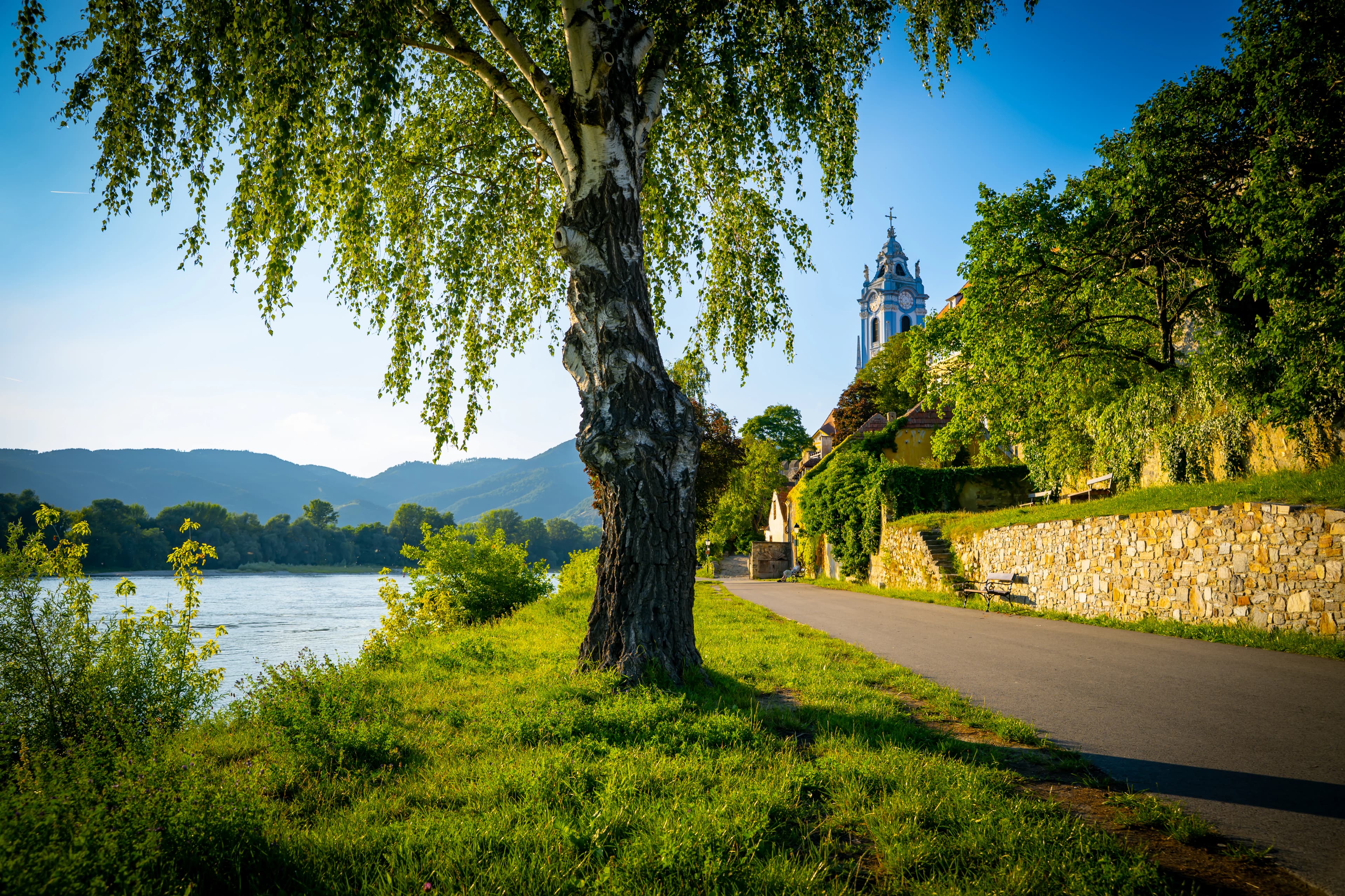 Tree-lined path along river with distant castle on hill.