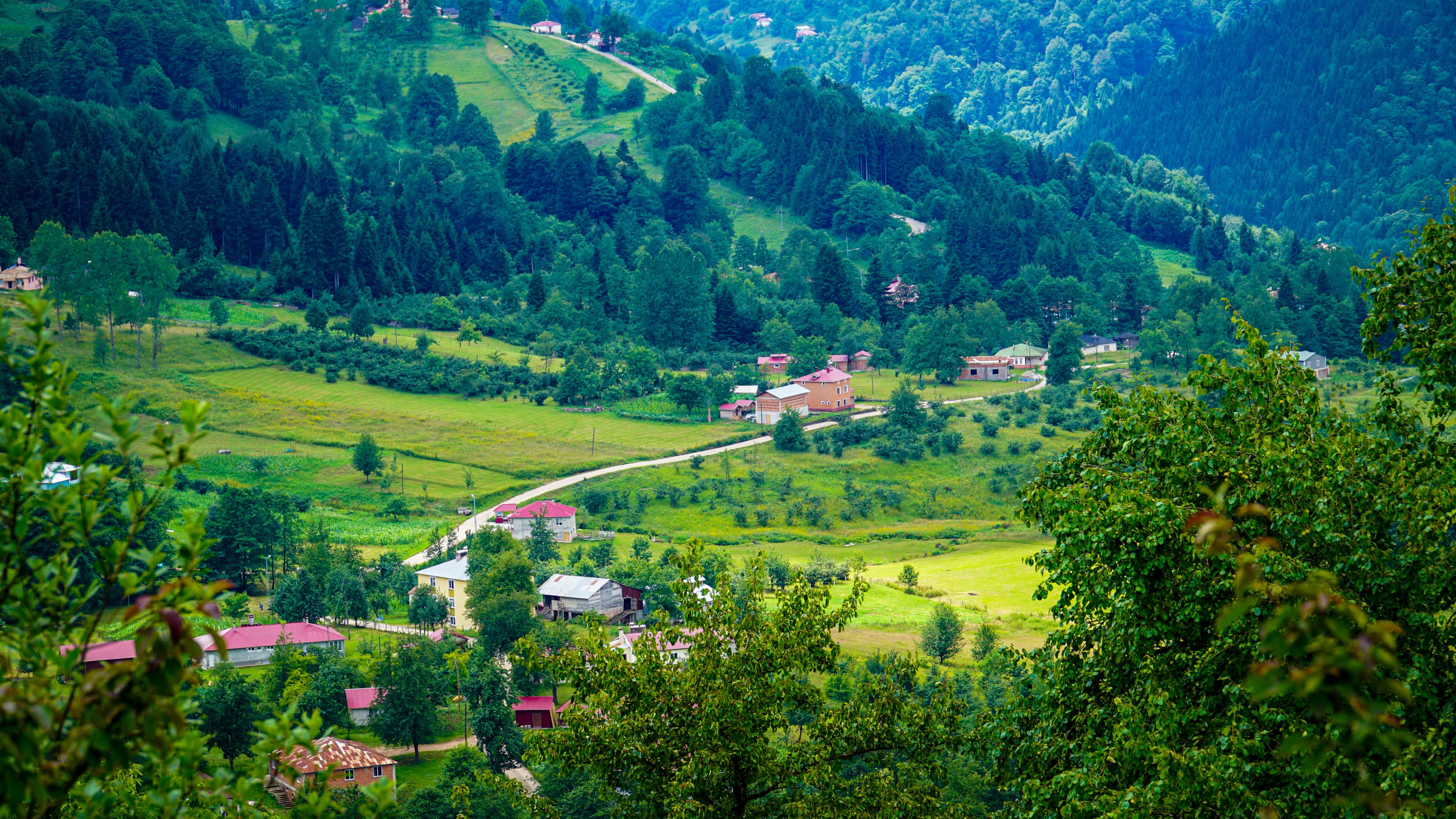 a landscape with trees and buildings