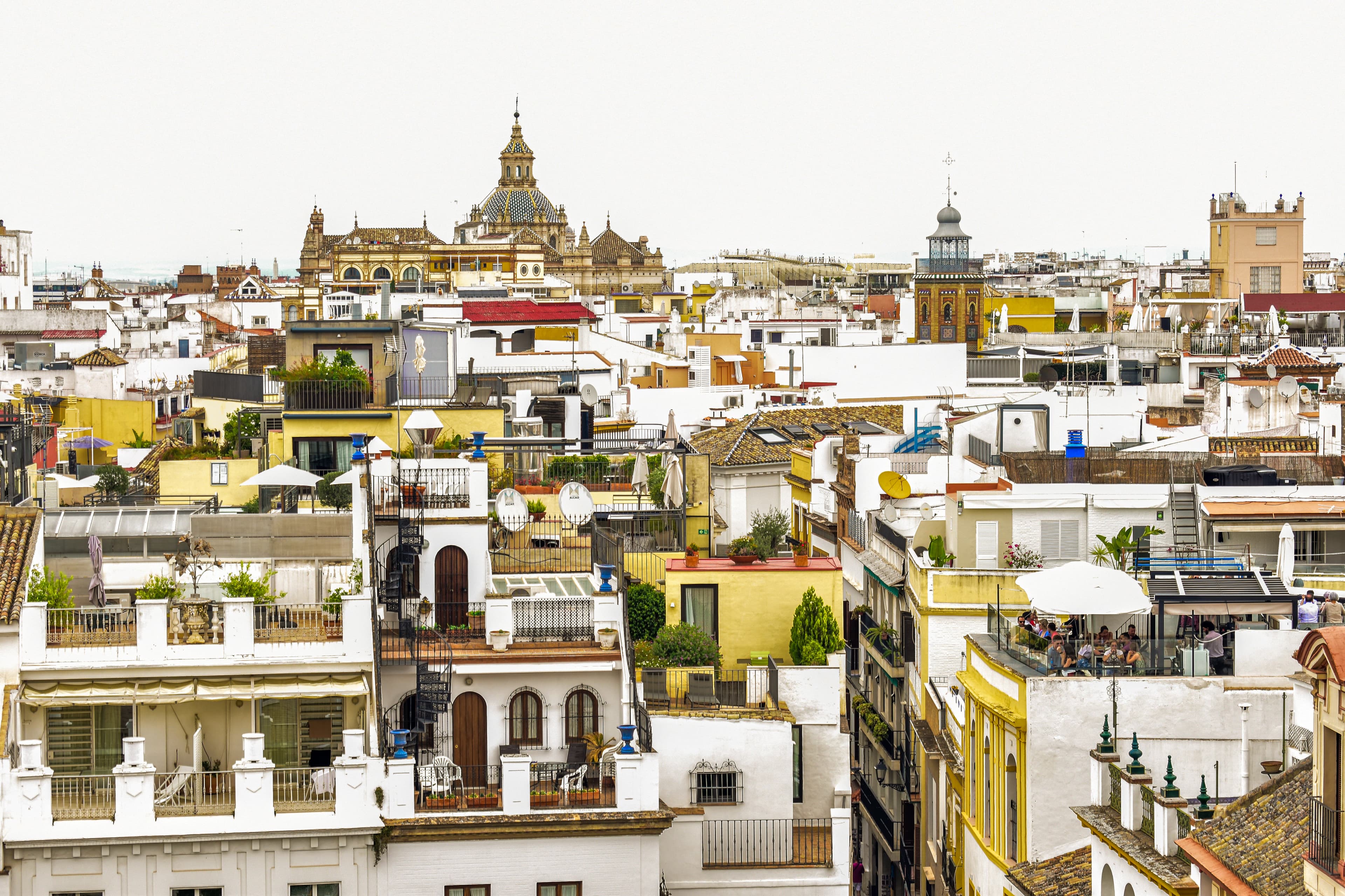 A city filled with lots of tall buildings