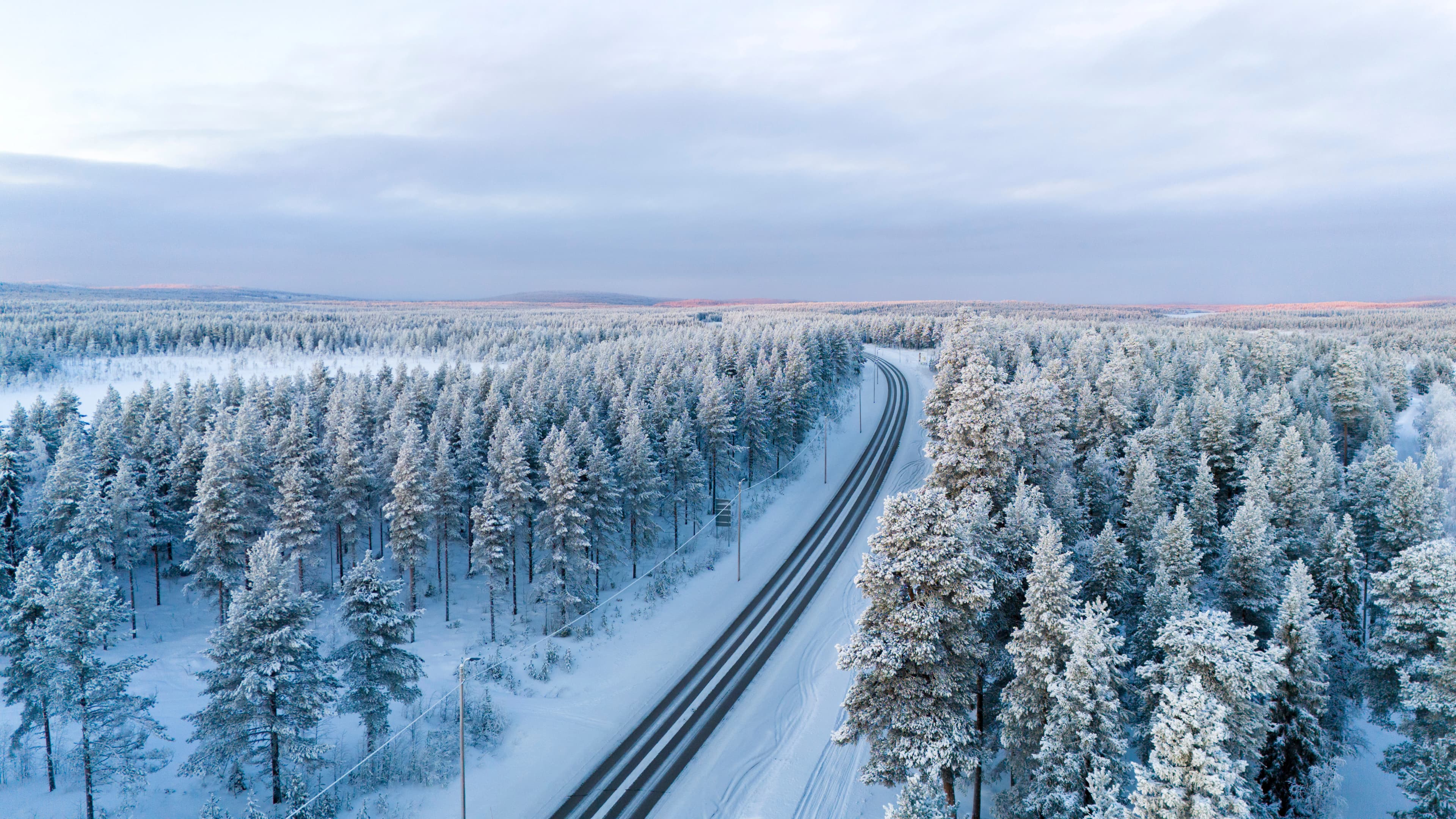a train traveling through a snow covered forest