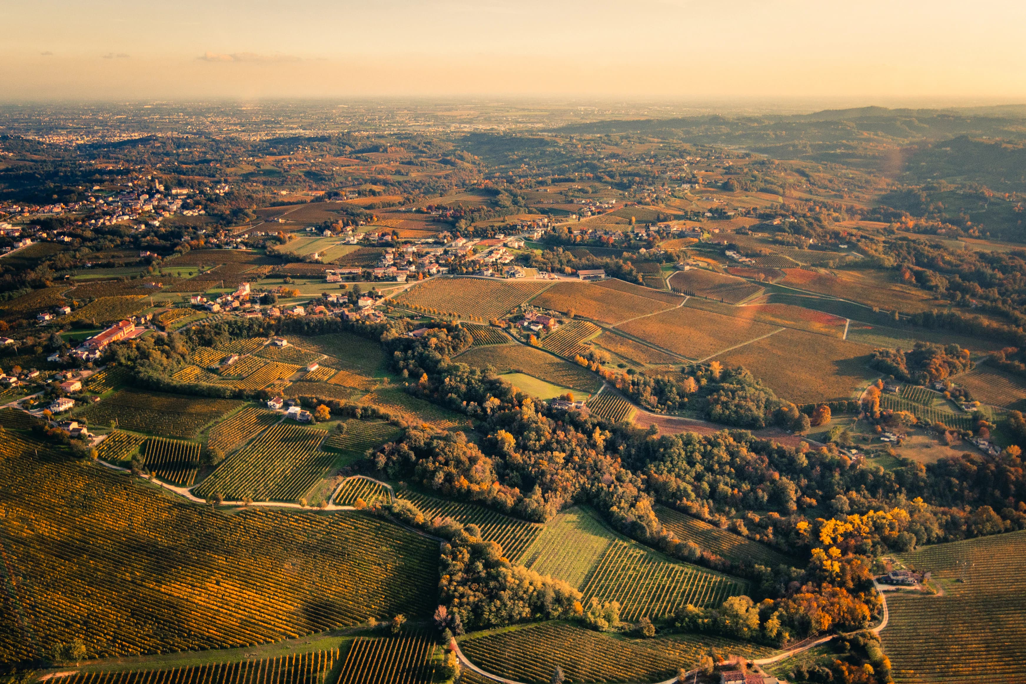 aerial view of green field during daytime