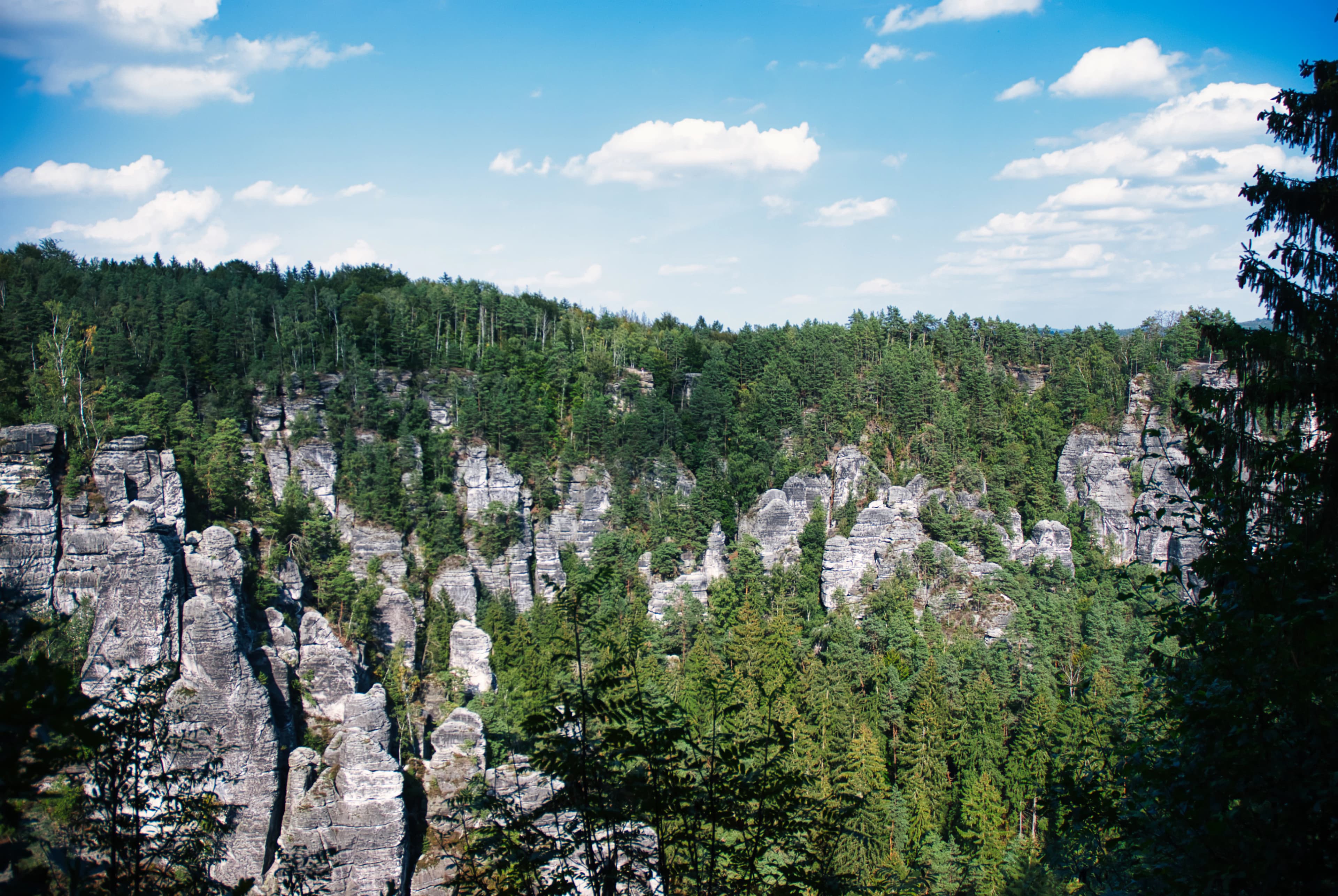 Rocky cliffs covered in lush green forest under blue sky
