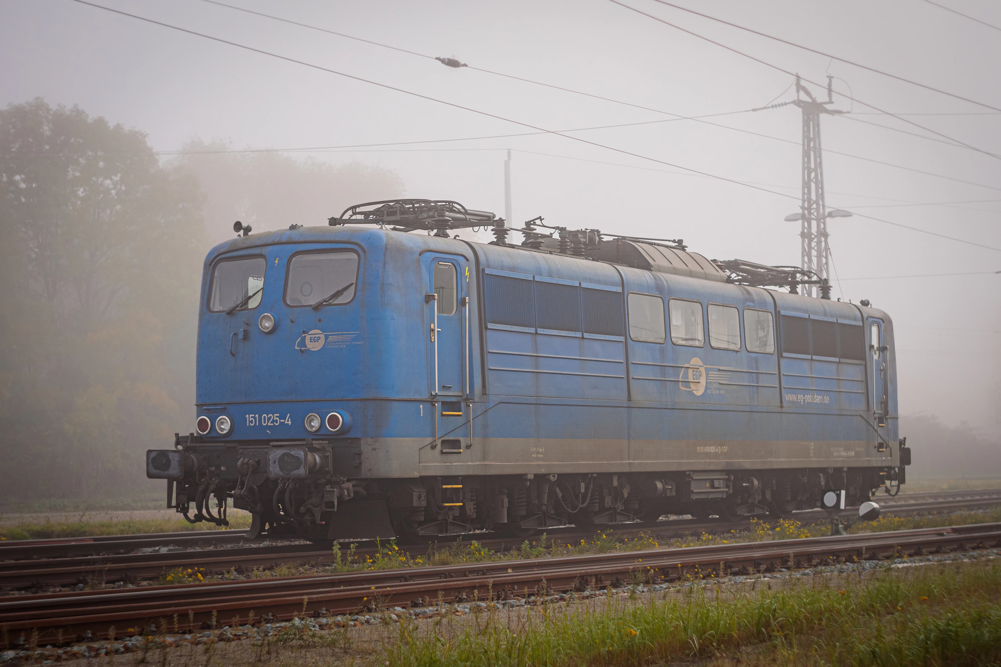 A blue train traveling down train tracks next to a forest