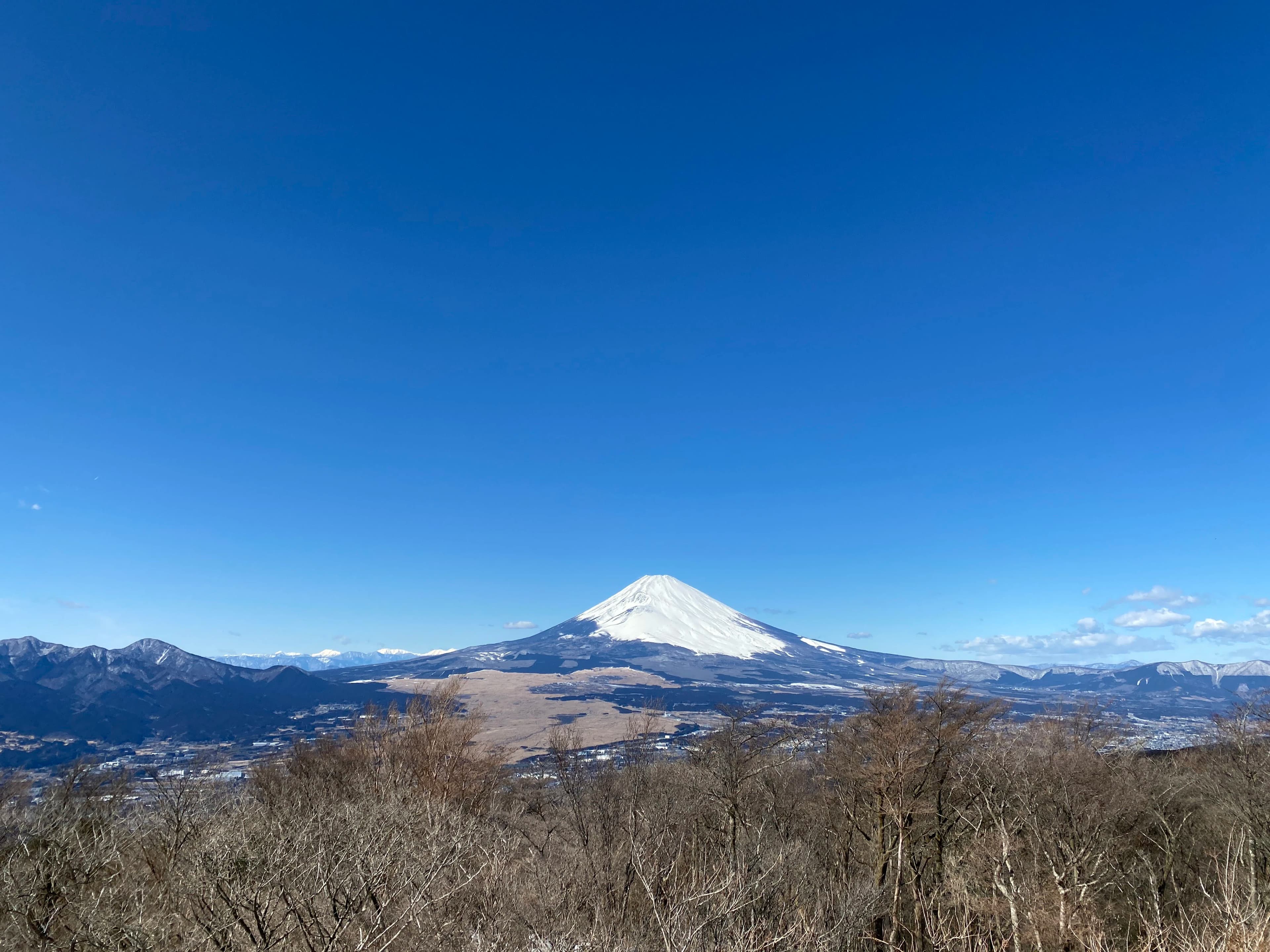 a view of a snow covered mountain with trees in the foreground