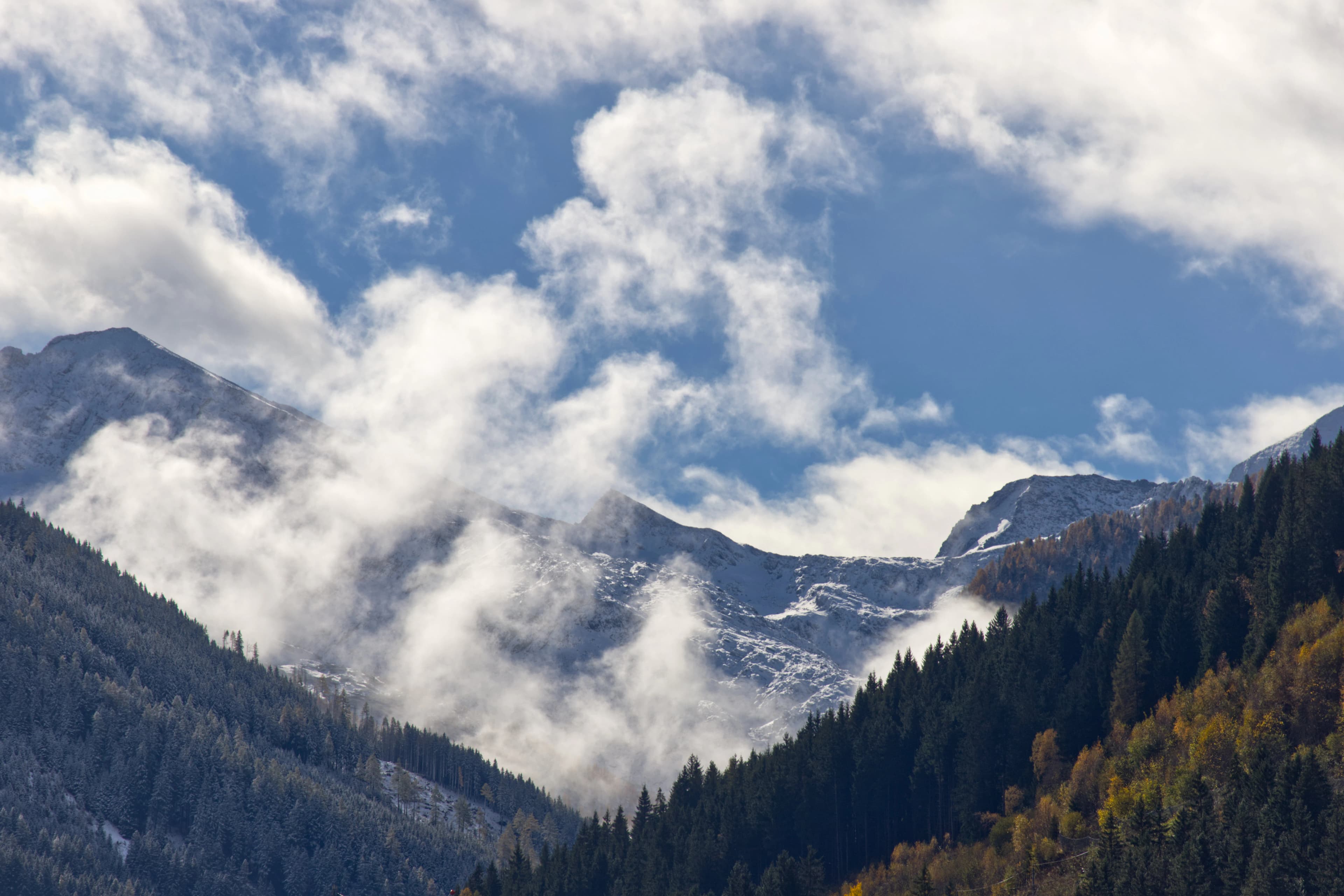 Misty mountains with evergreen forest and blue sky