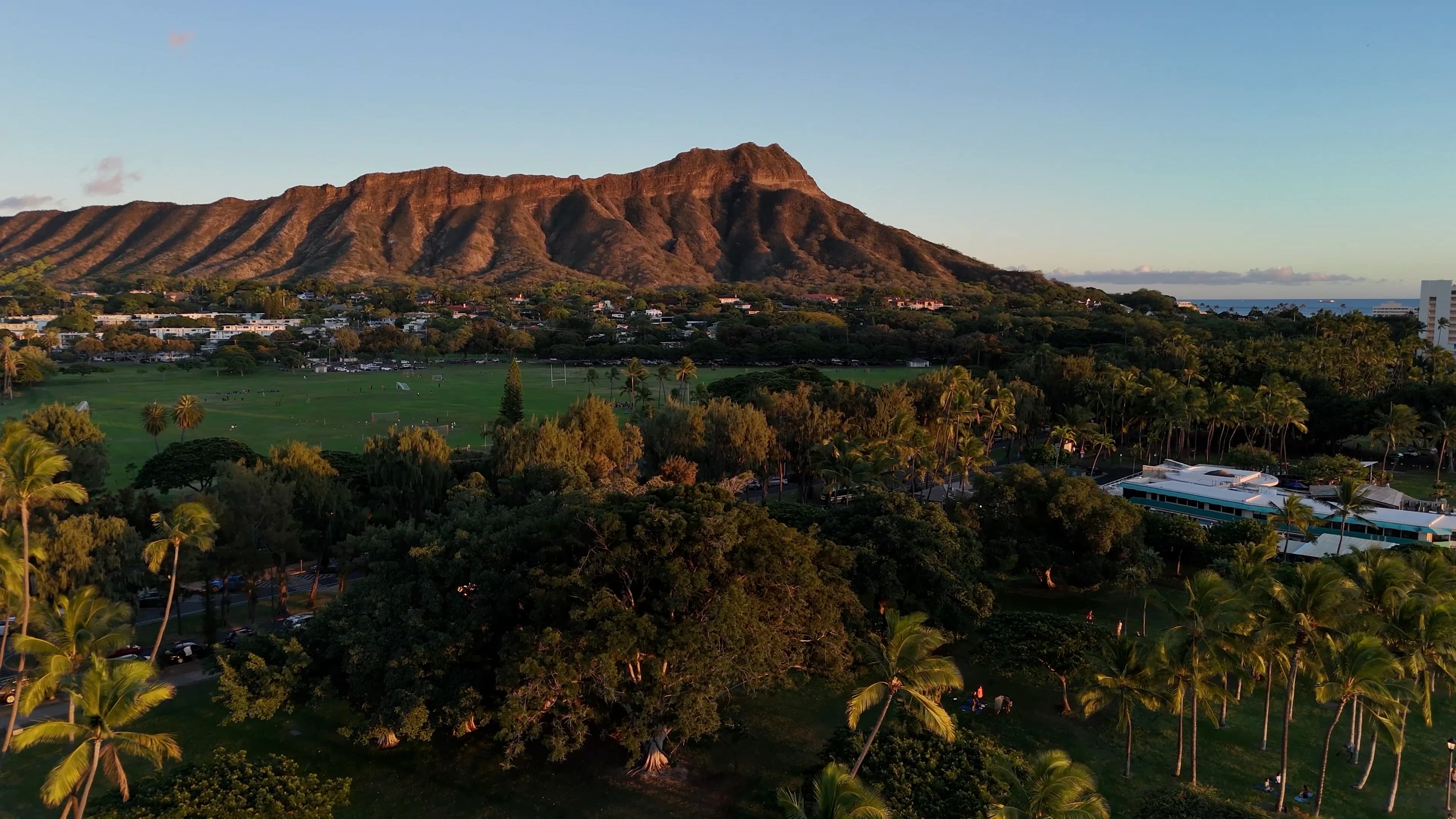 An aerial view of a lush green field with a mountain in the background