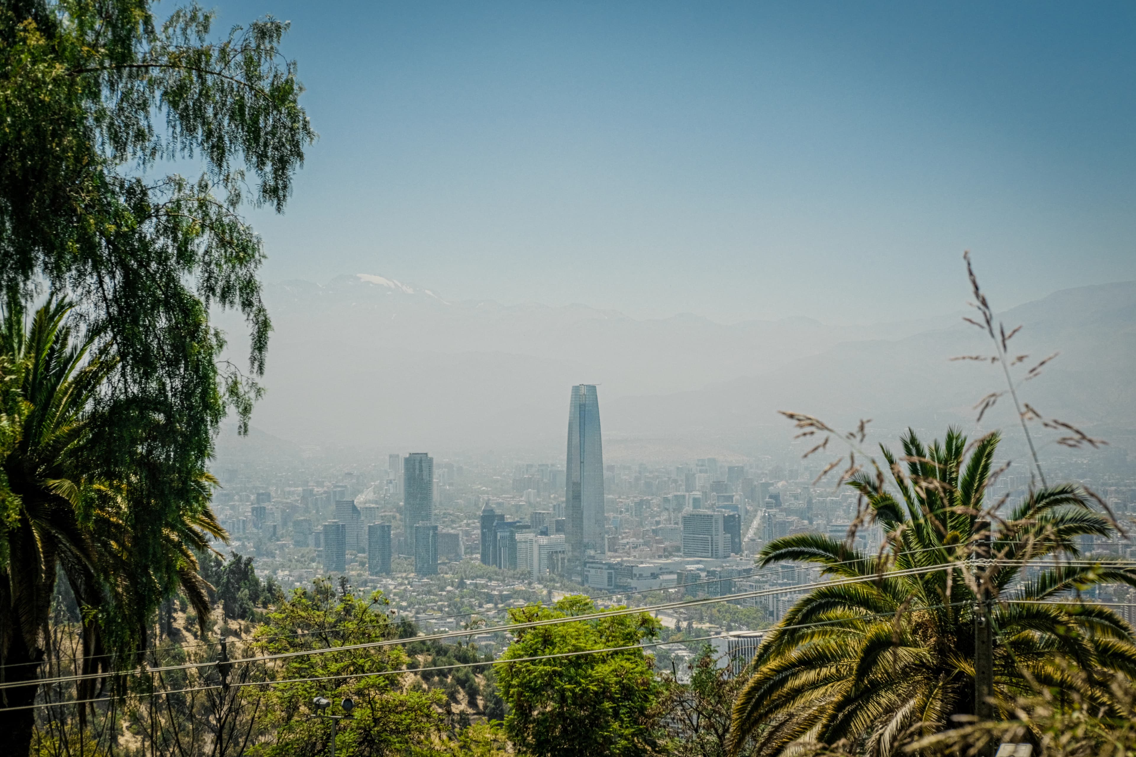 A view of a city from the top of a hill