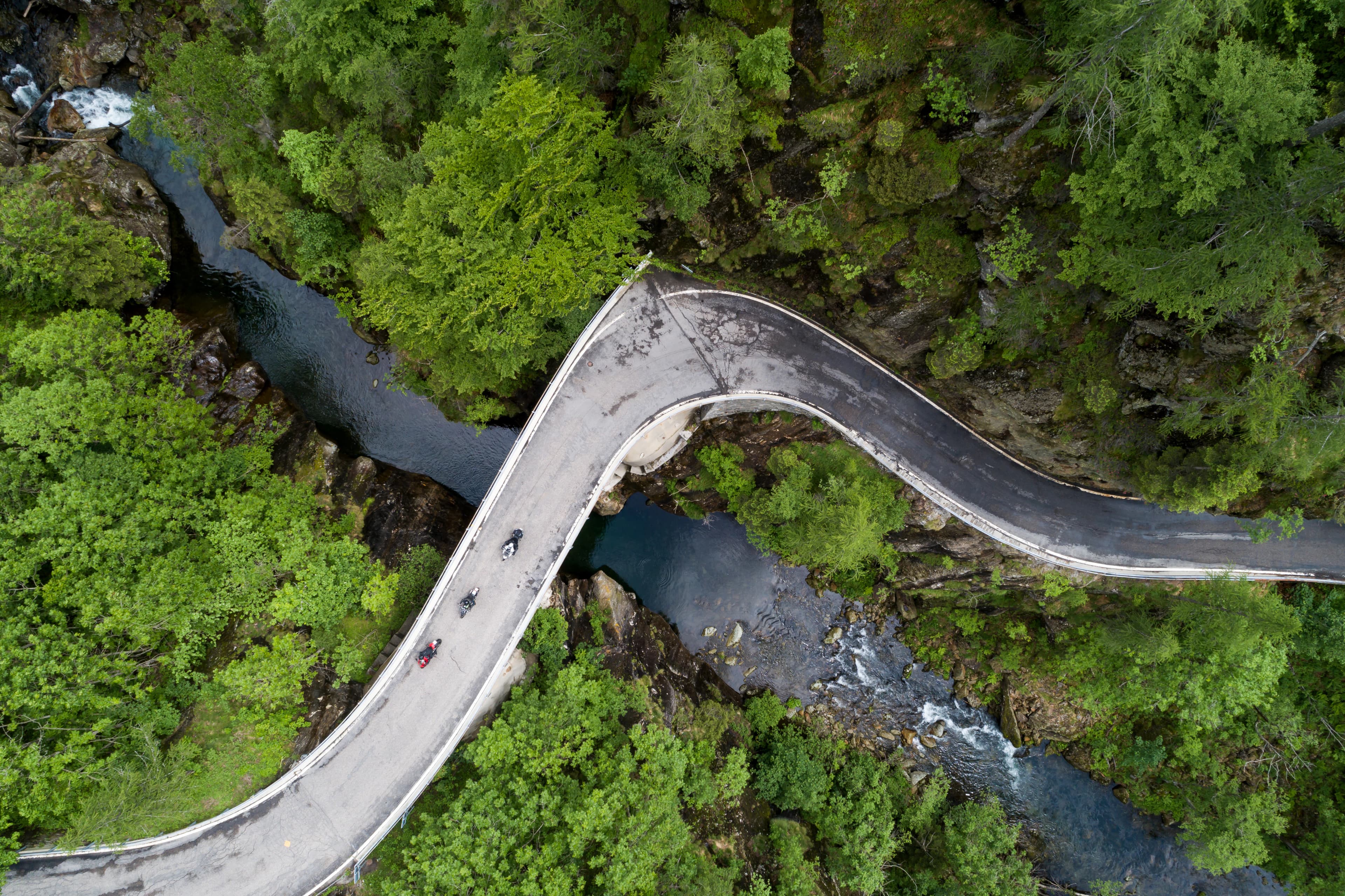 a winding road in the middle of a forest