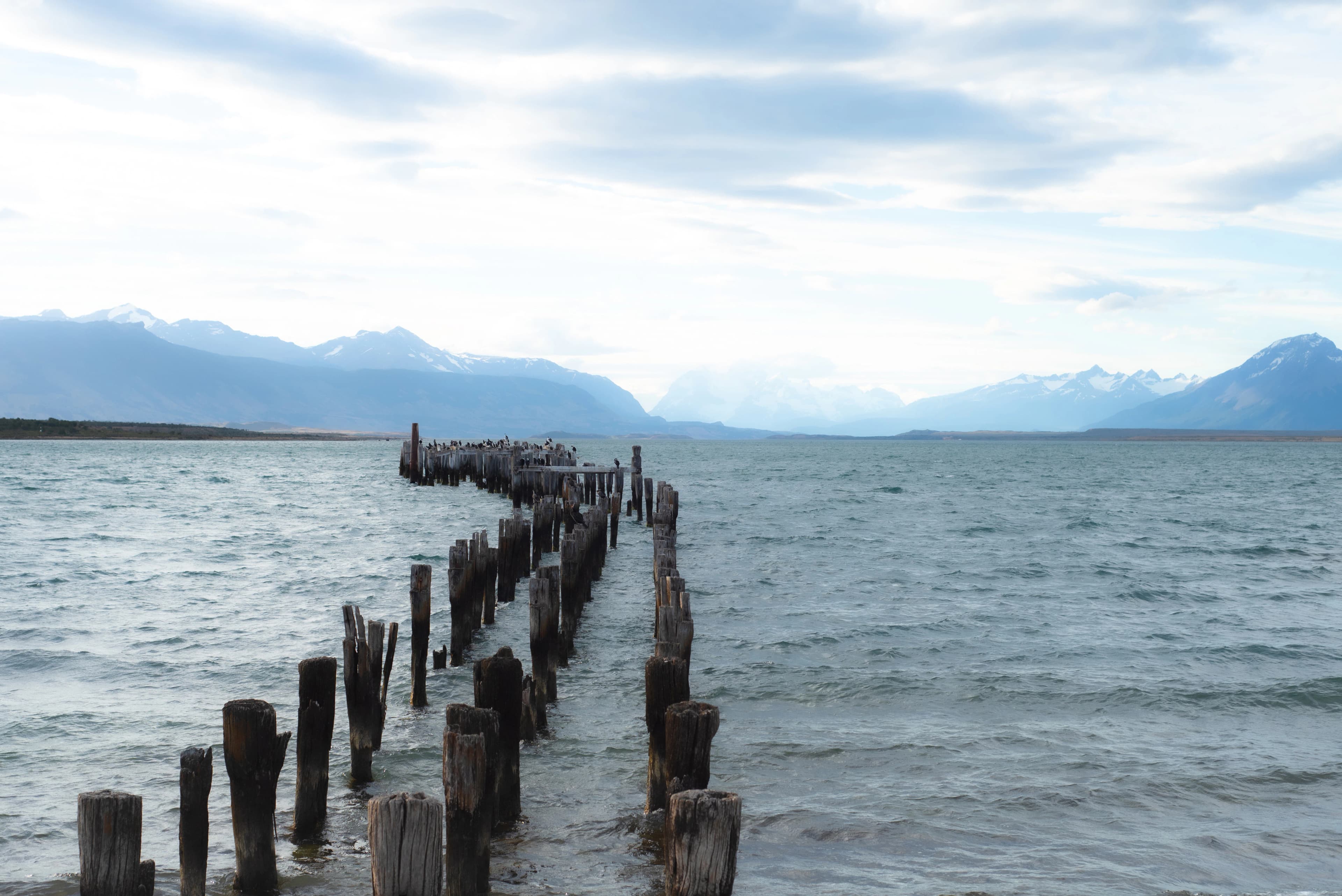 Old wooden pier posts in calm water with mountains.
