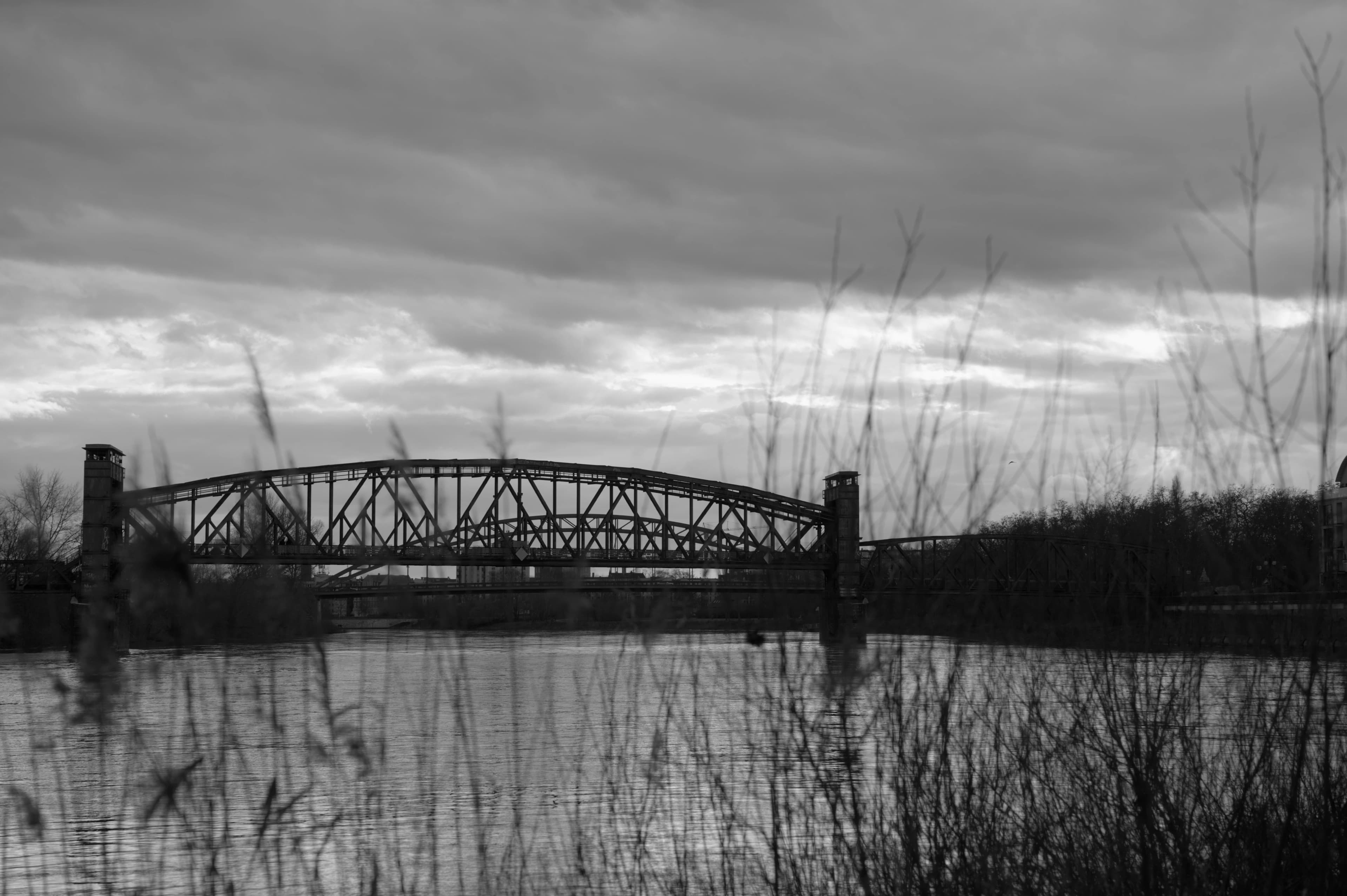 A metal truss bridge over water with reeds.