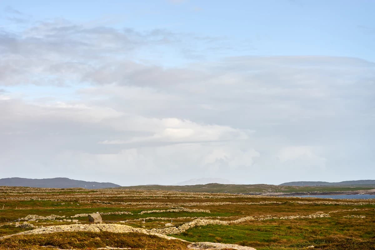 aerial view of green field during daytime