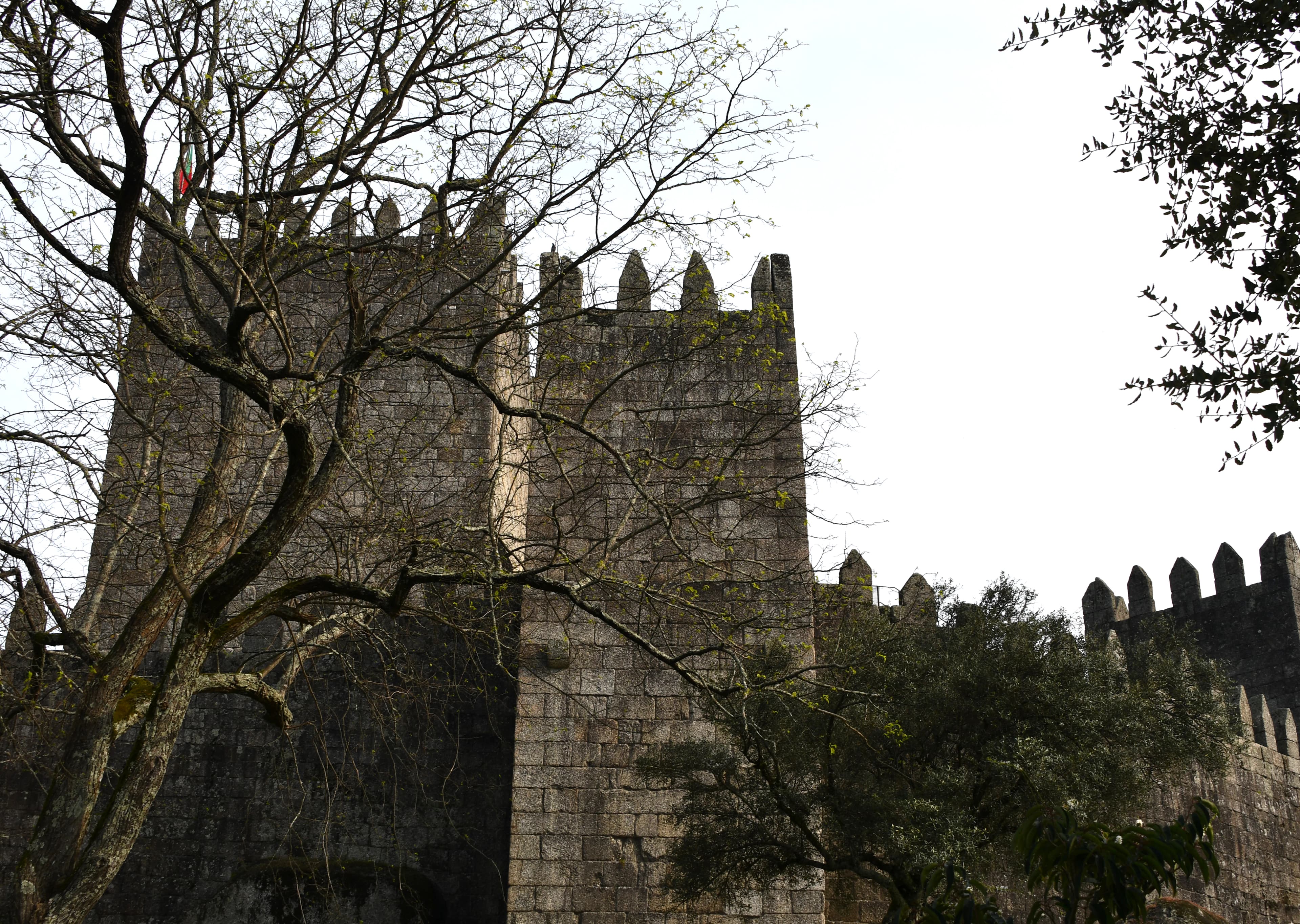 a large stone castle with a tree in front of it
