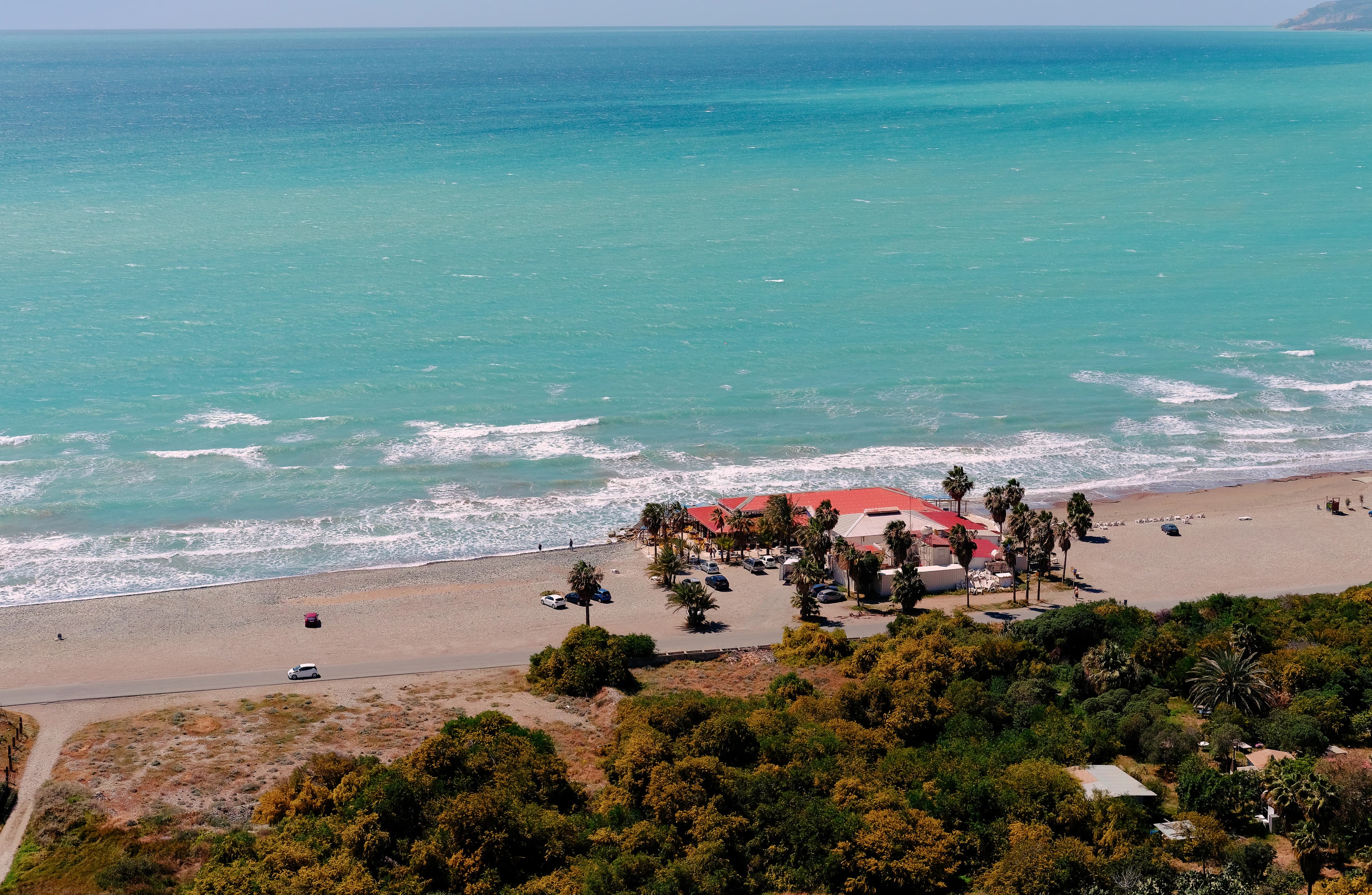Beachfront building with palm trees and ocean waves.