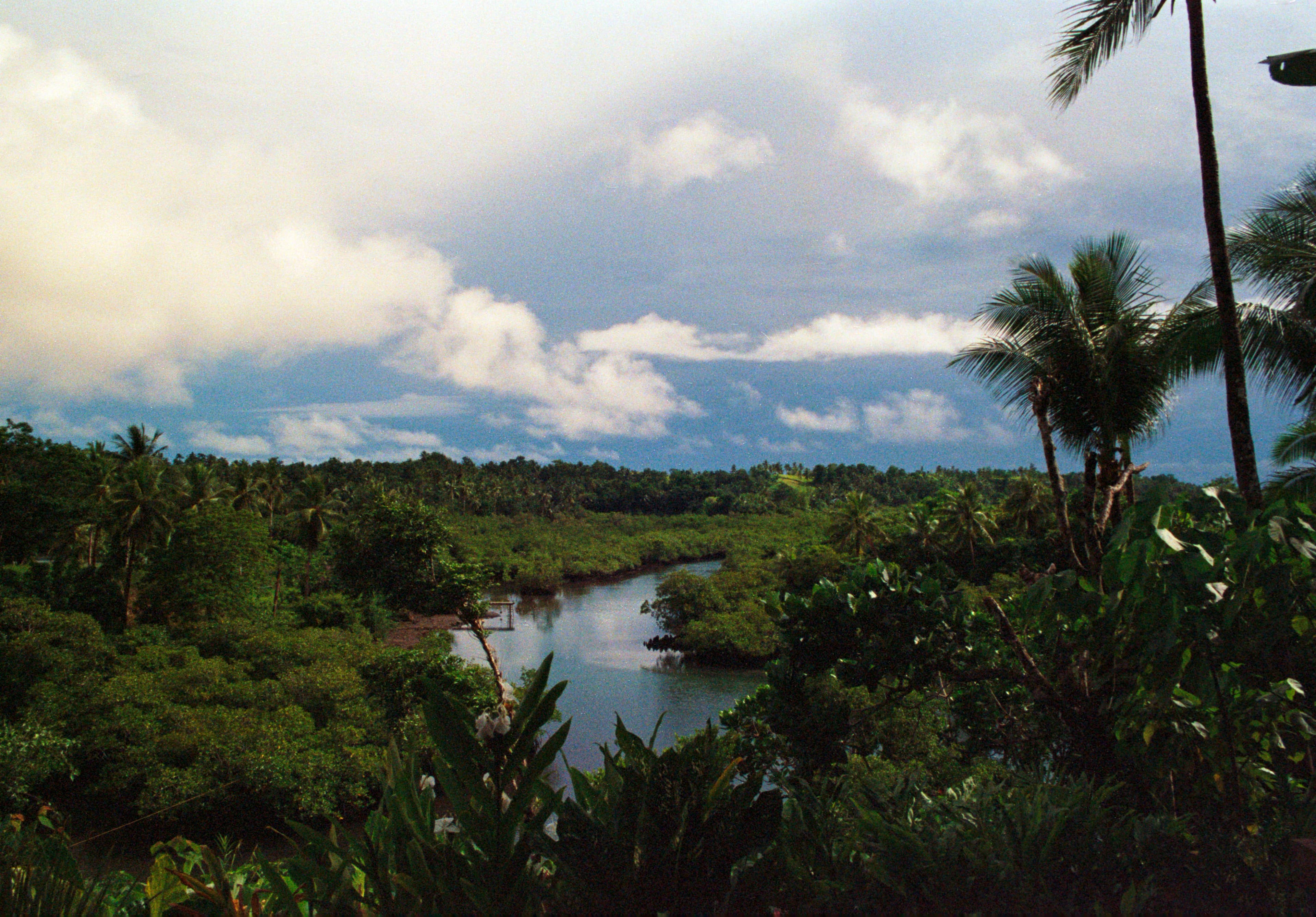 A river winds through lush, green vegetation.