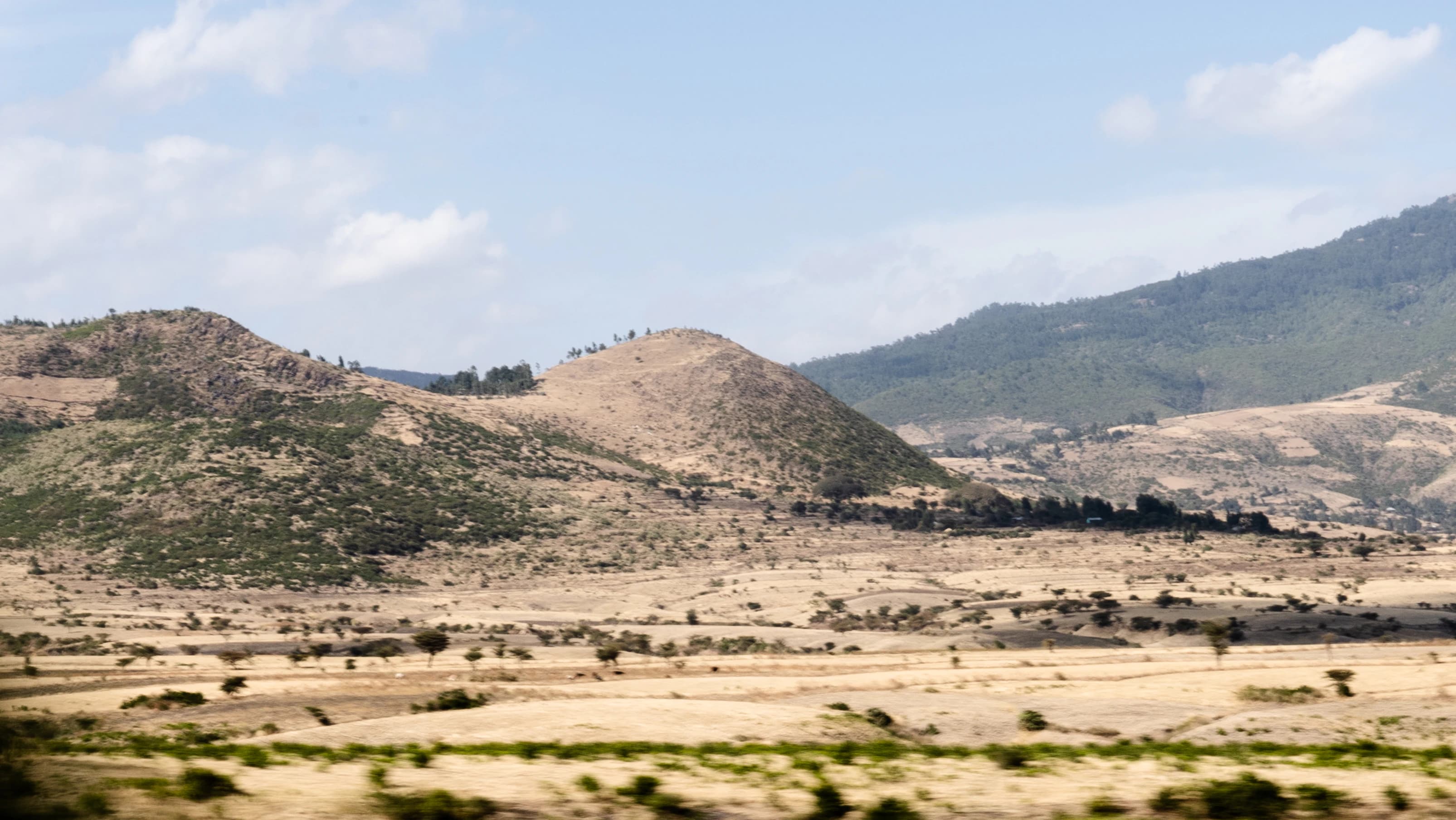 green grass field near mountain under blue sky during daytime