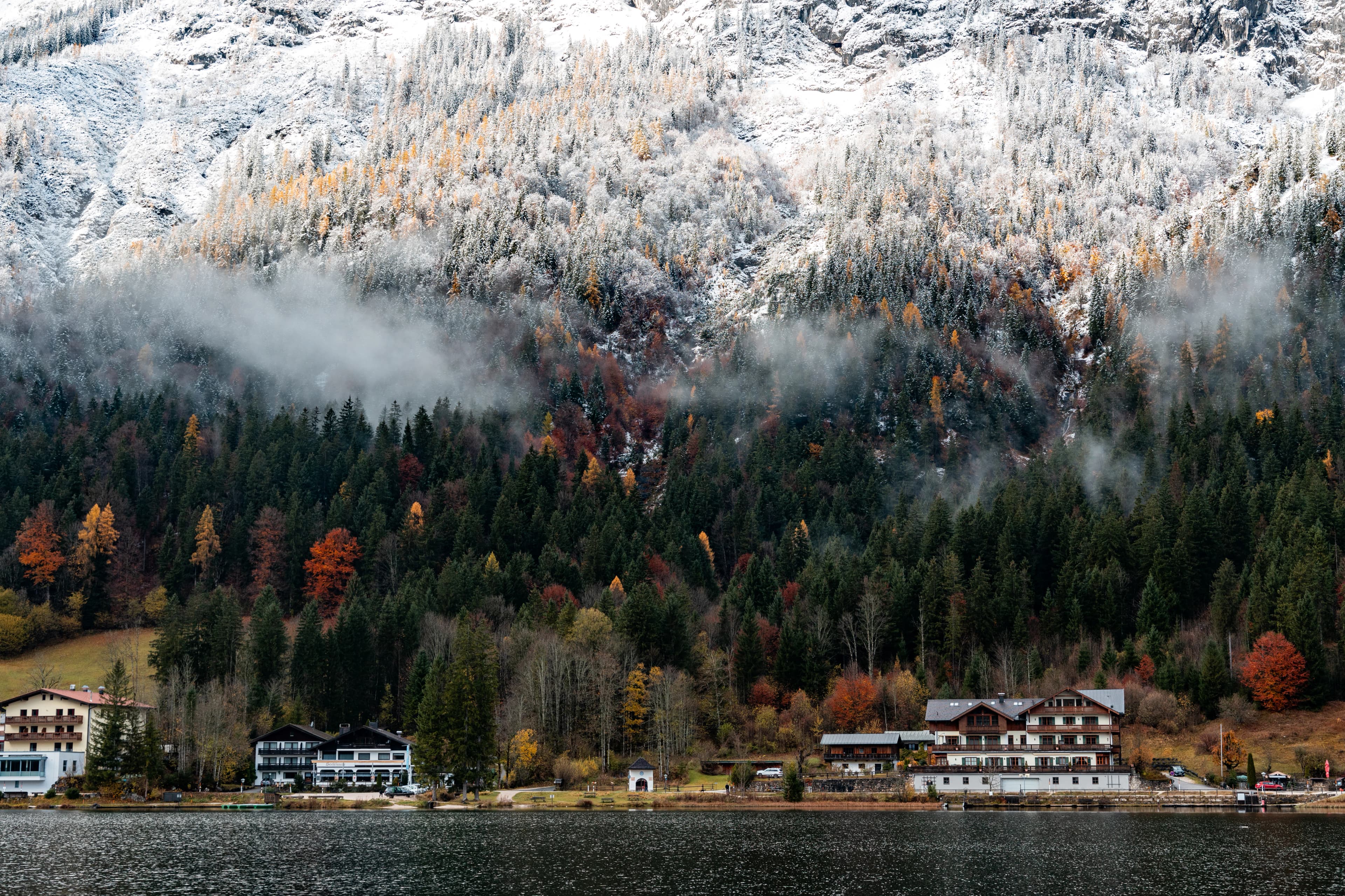 a large mountain covered in trees next to a body of water