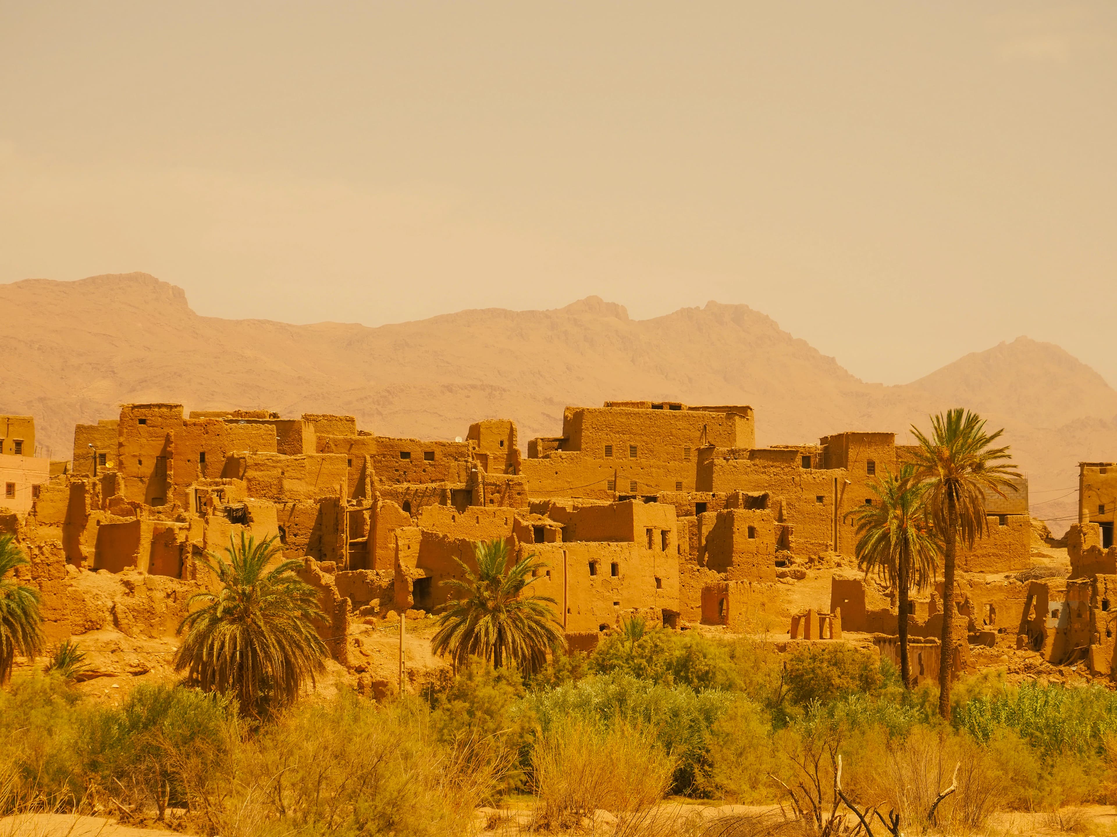 A desert village with palm trees and mountains.