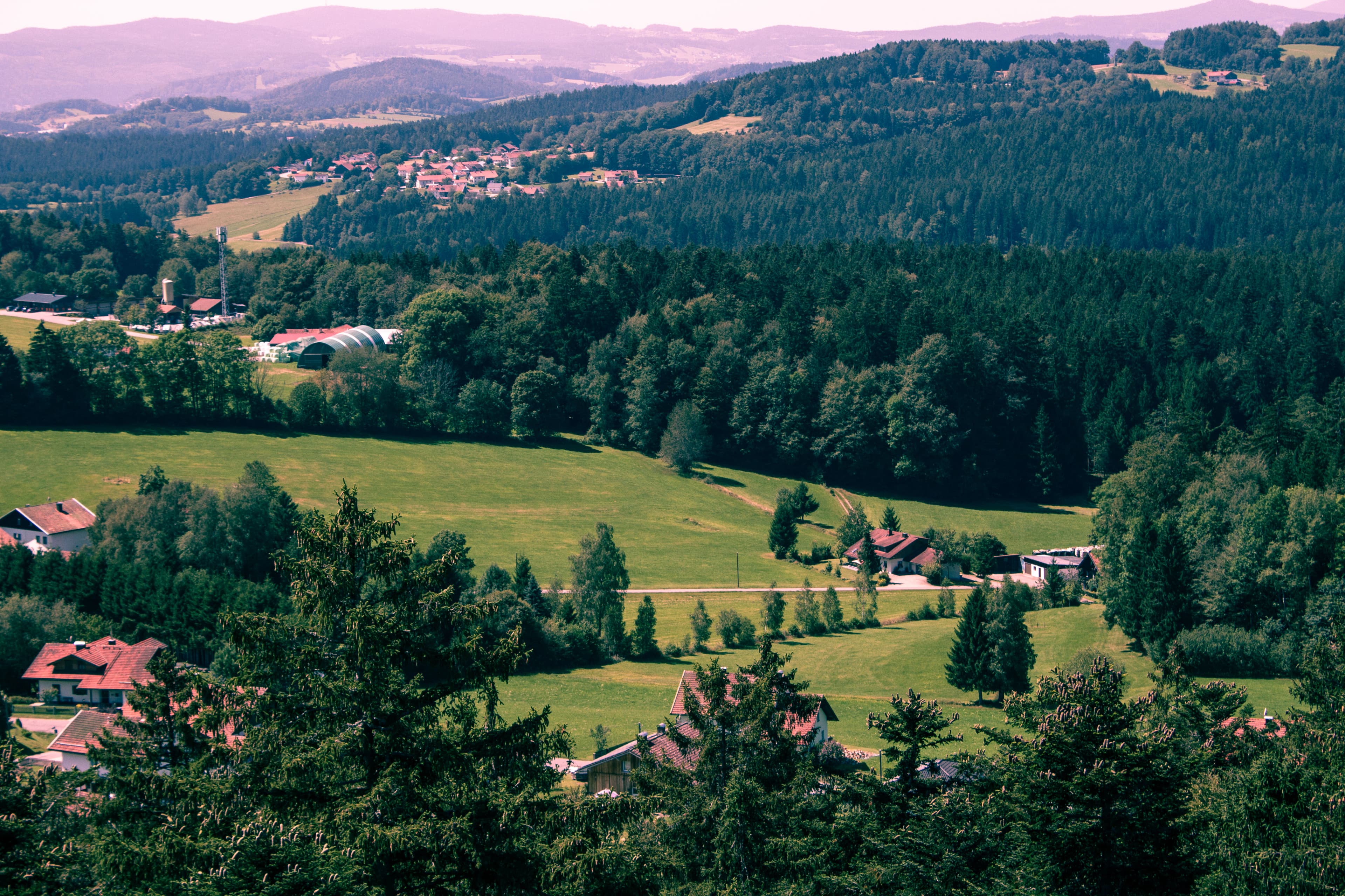 A lush green valley surrounded by trees and houses