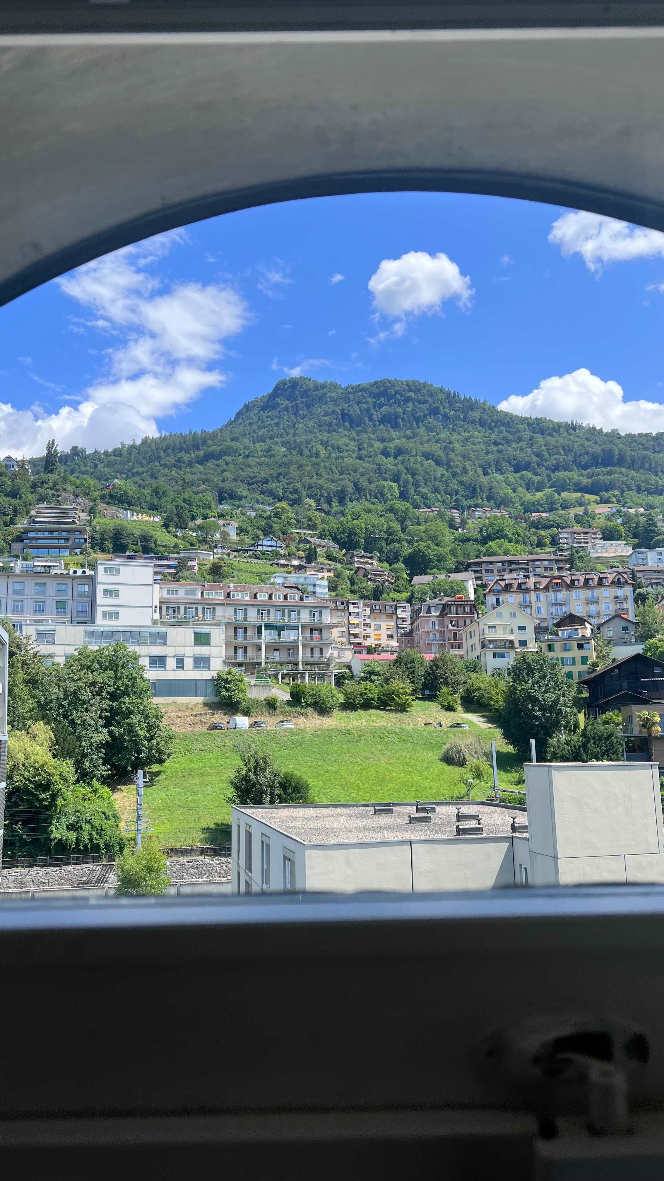 Fairmont Hotel Le Montreux Palace Ansicht 8