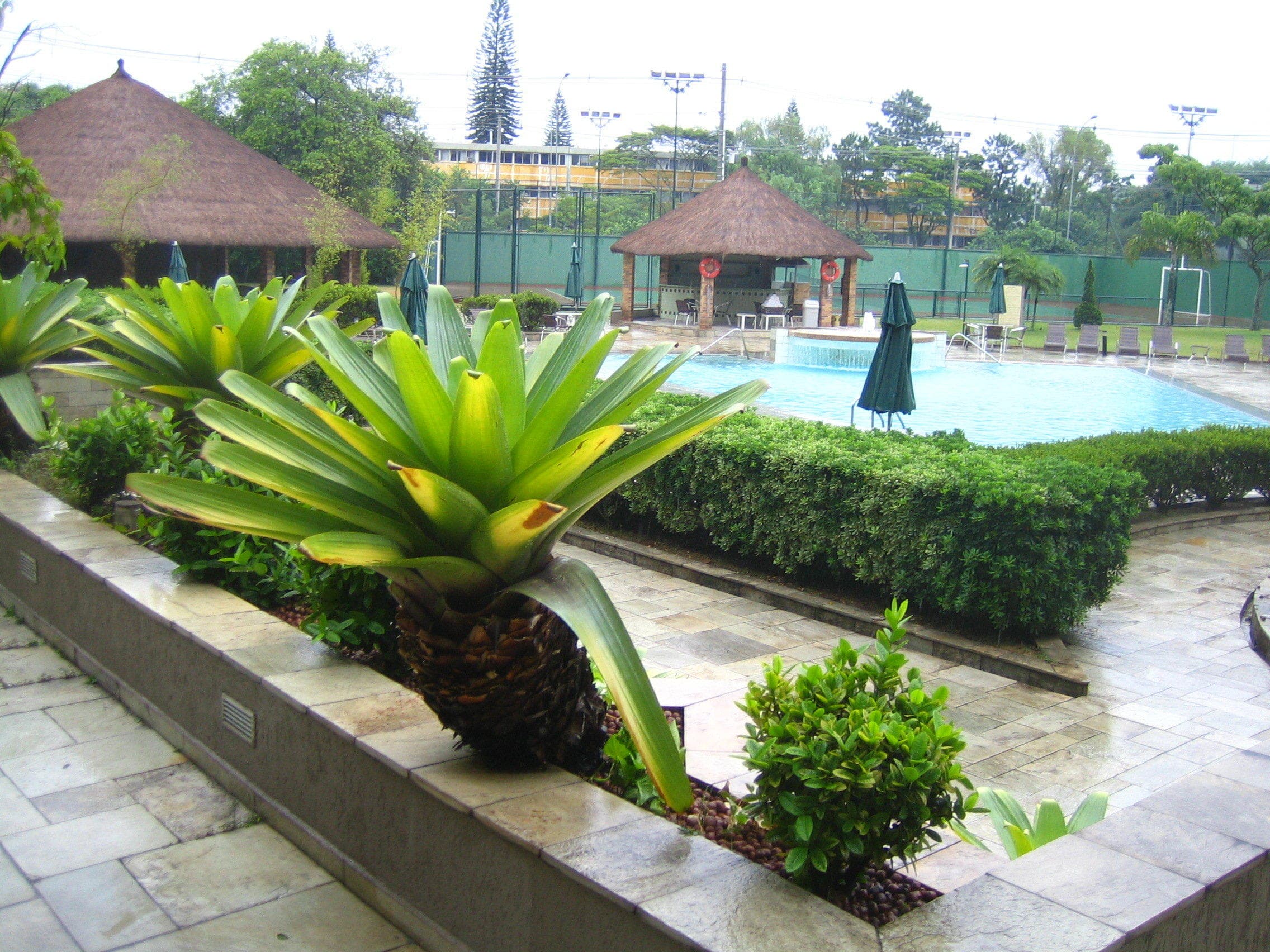 Sao Paulo Airport Marriott Hotel Ansicht 6