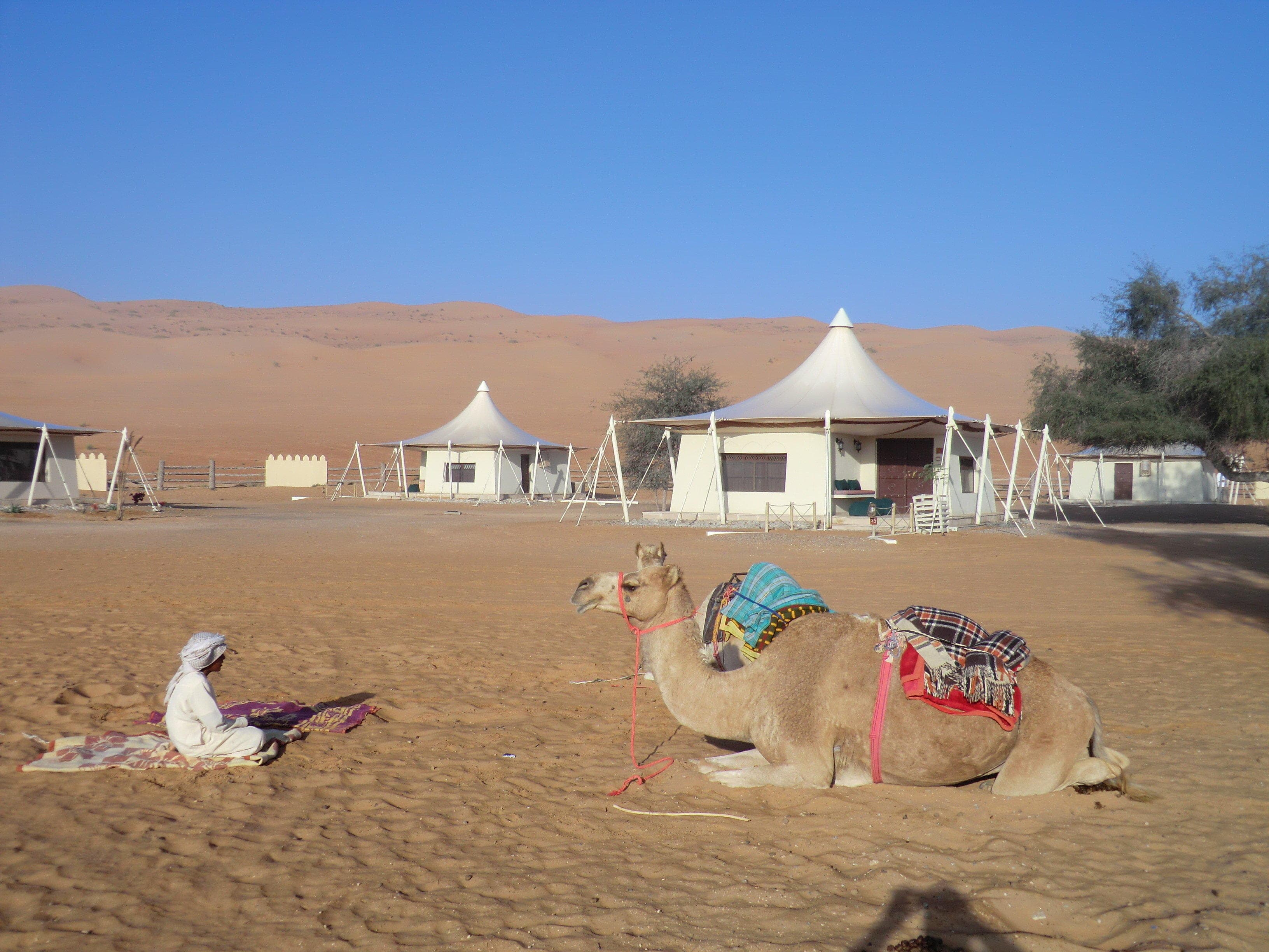 Desert Night Camp Ansicht 9