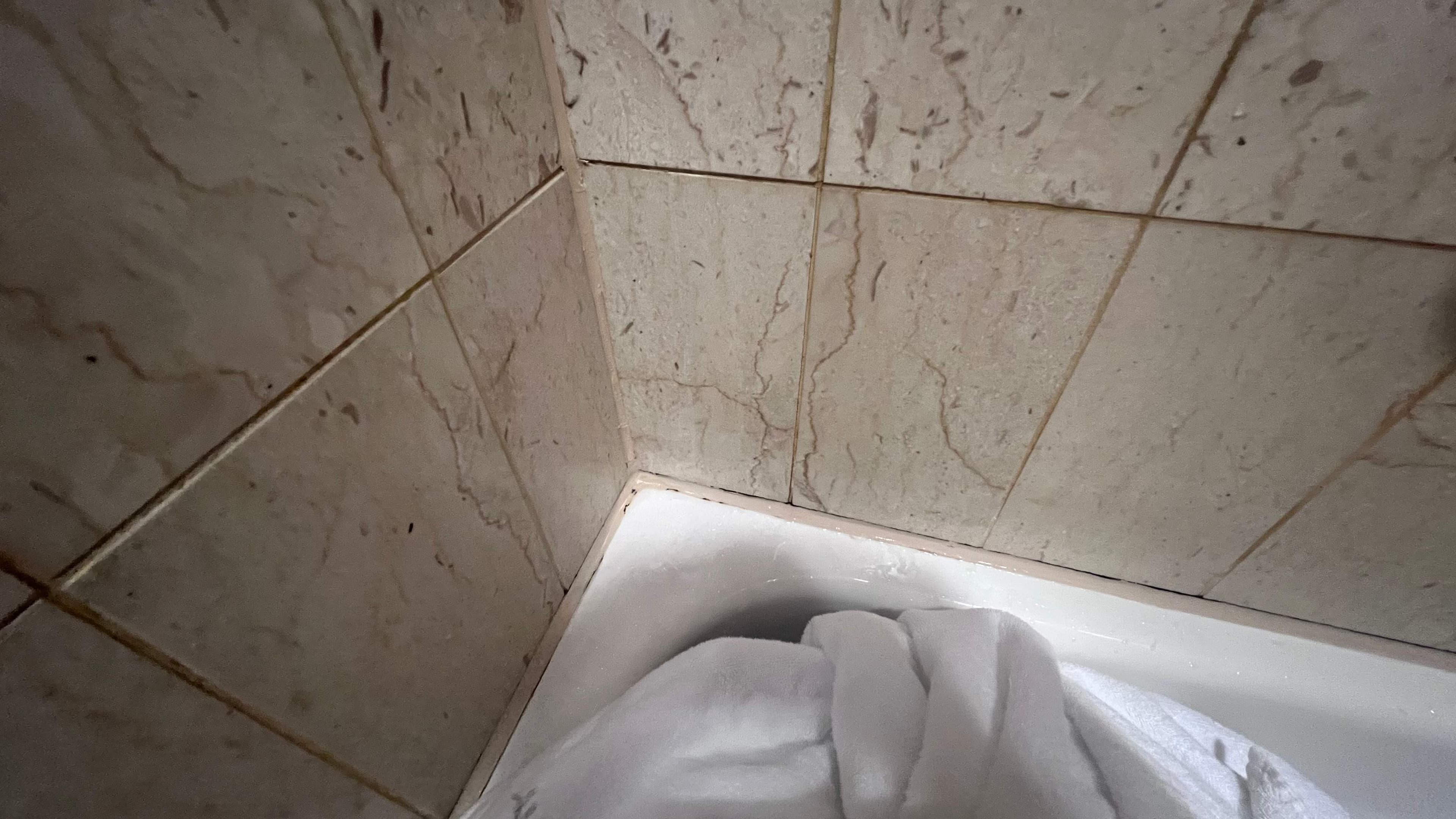 Fairmont Hotel Le Montreux Palace Ansicht 5