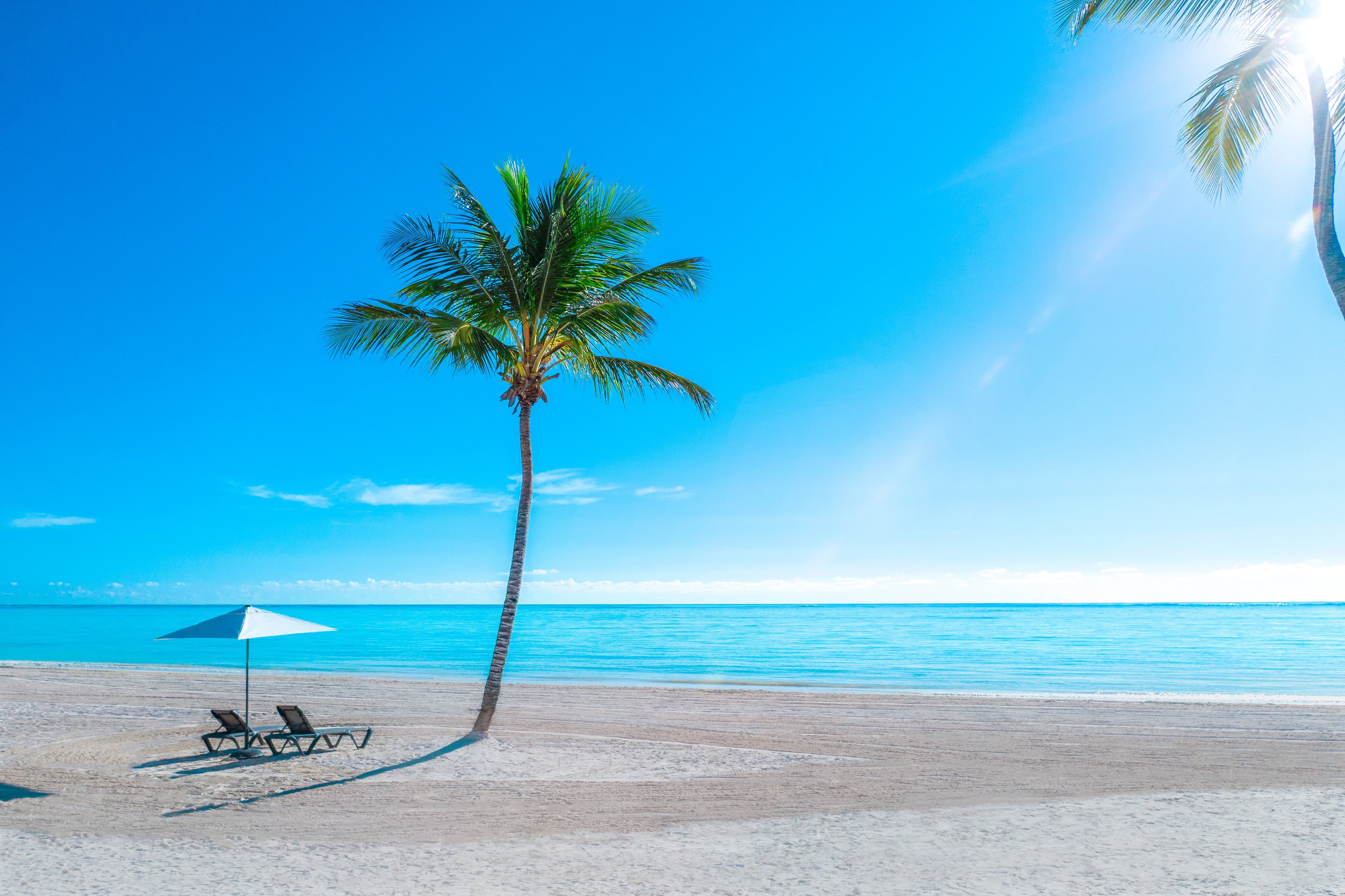 Hyatt Zilara Cap Cana - Adults Only Ansicht 7