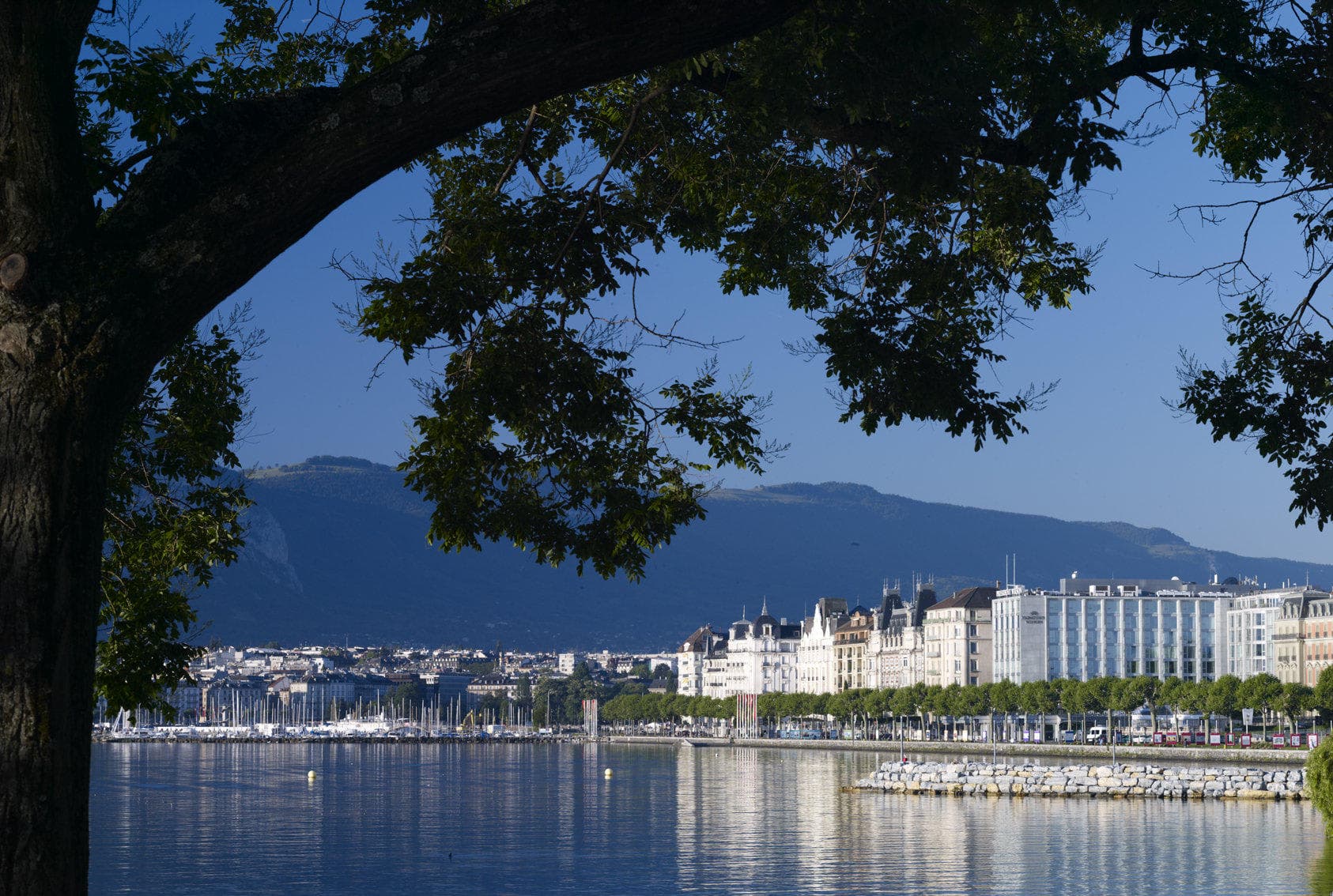 InterContinental Genève by IHG Ansicht 2