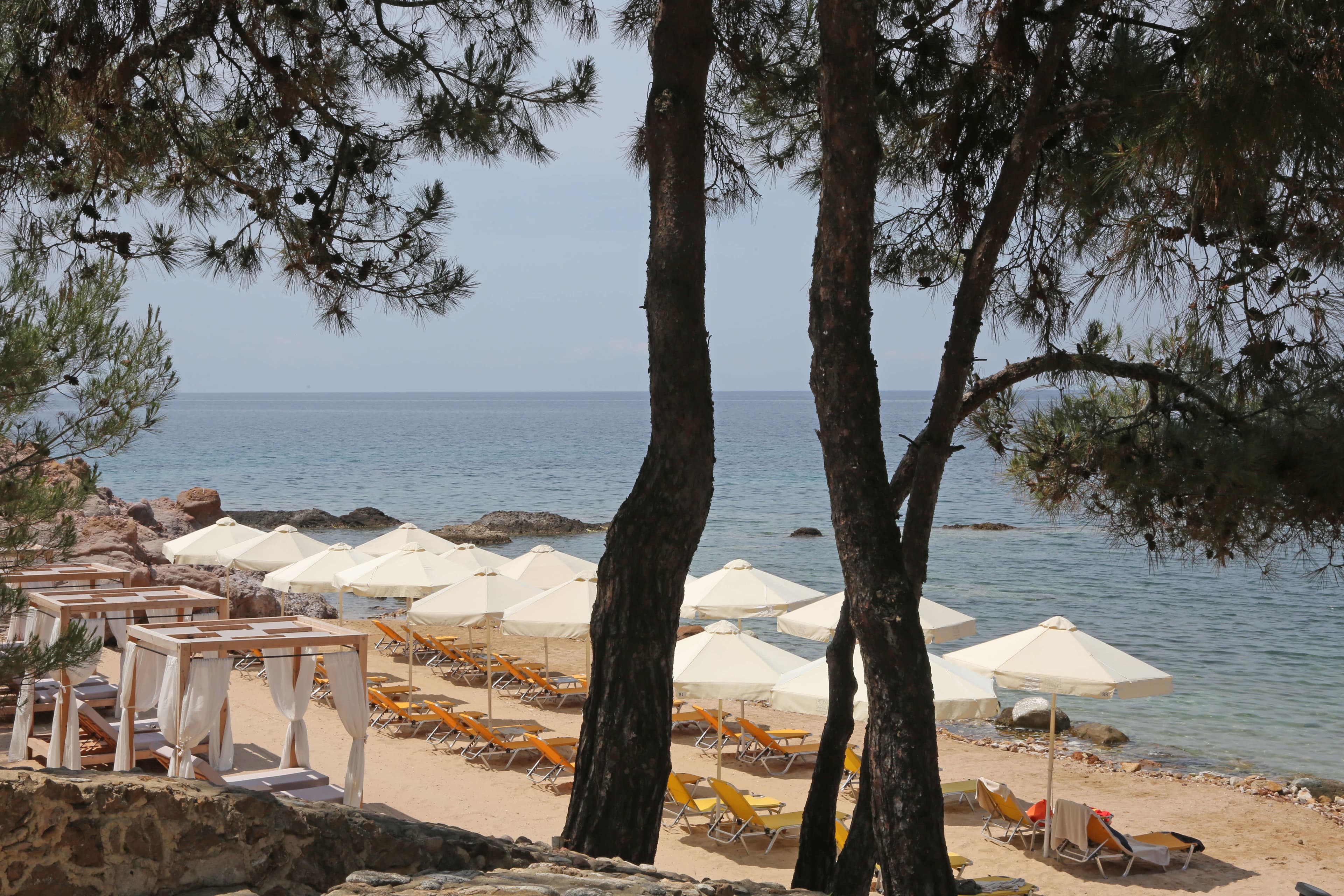 Hotel Royal Paradise Beach Resort & Spa Ansicht 10