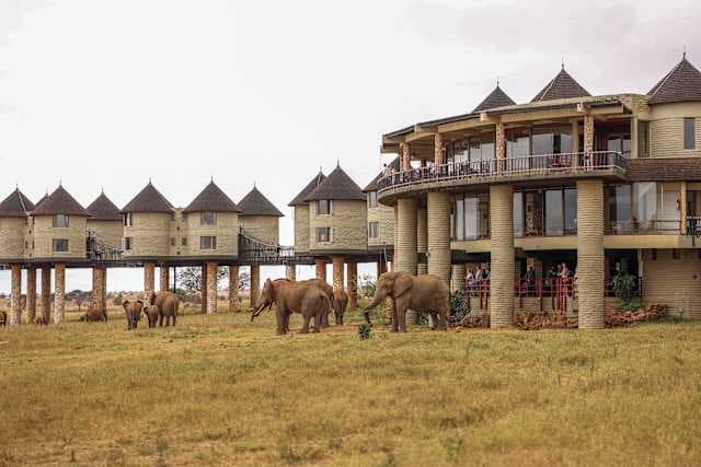 Salt Lick Safari Lodge Ansicht 2